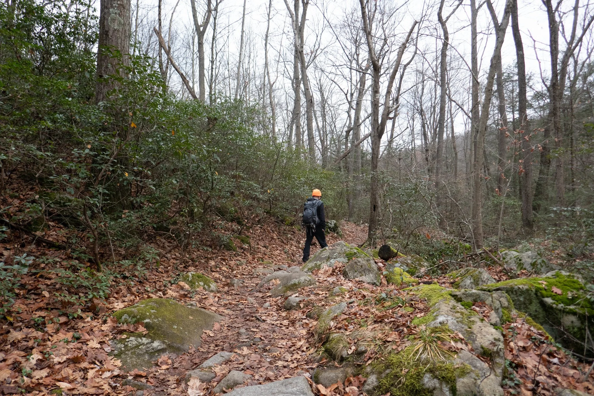 Harriman State Park NY, Pine Meadow Lake