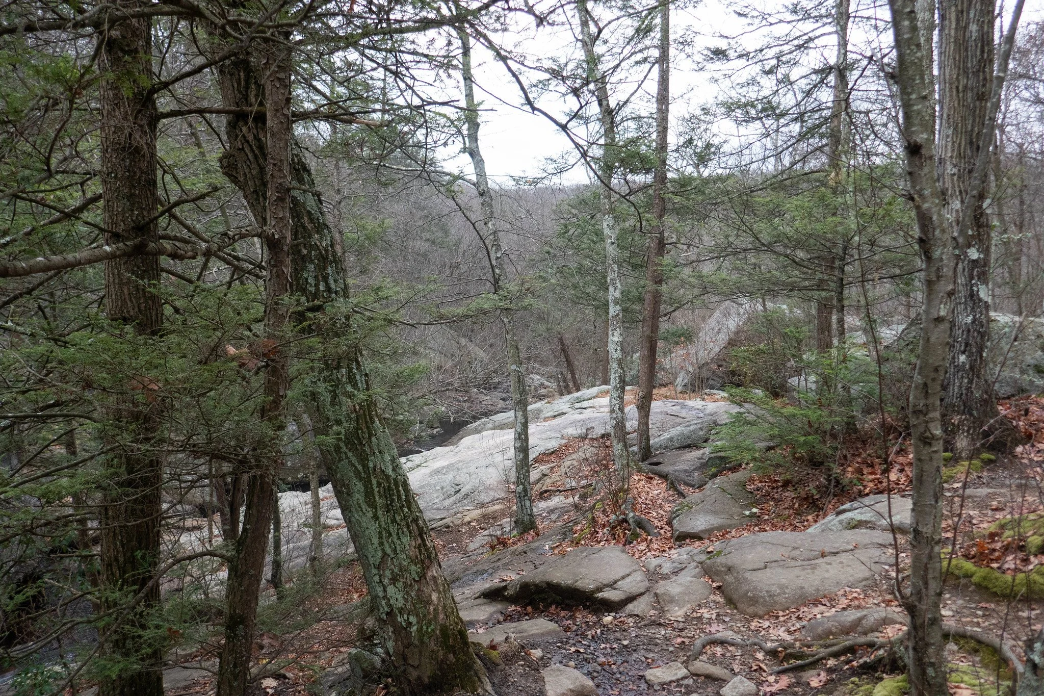 Harriman State Park NY, Pine Meadow Lake