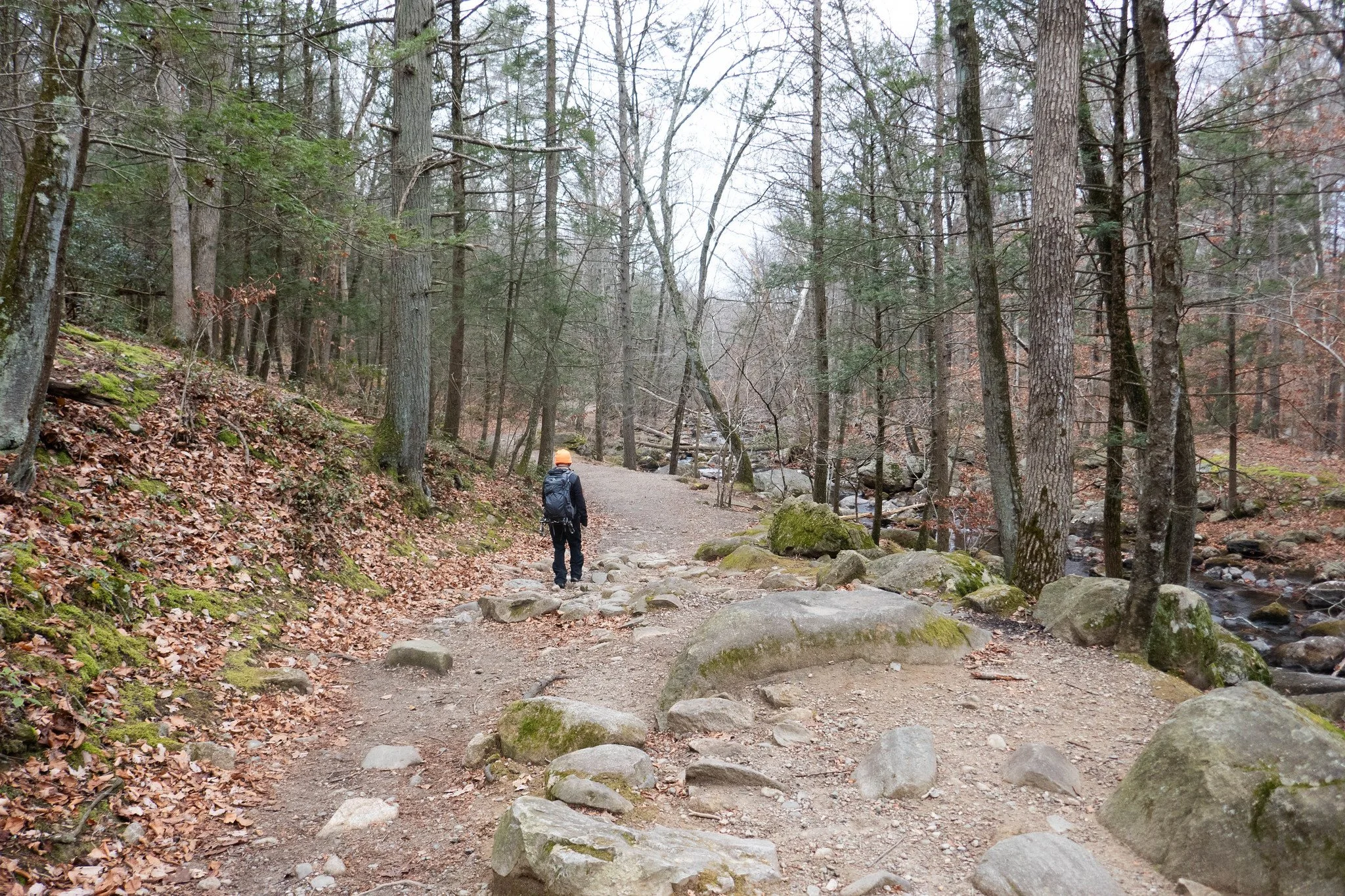 Harriman State Park NY, Pine Meadow Lake