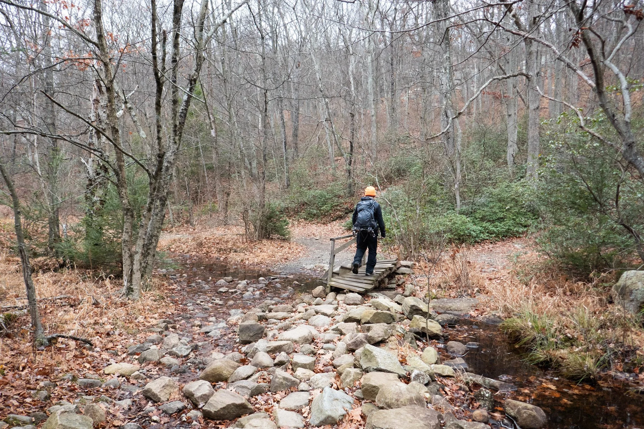 Harriman State Park NY, Pine Meadow Lake