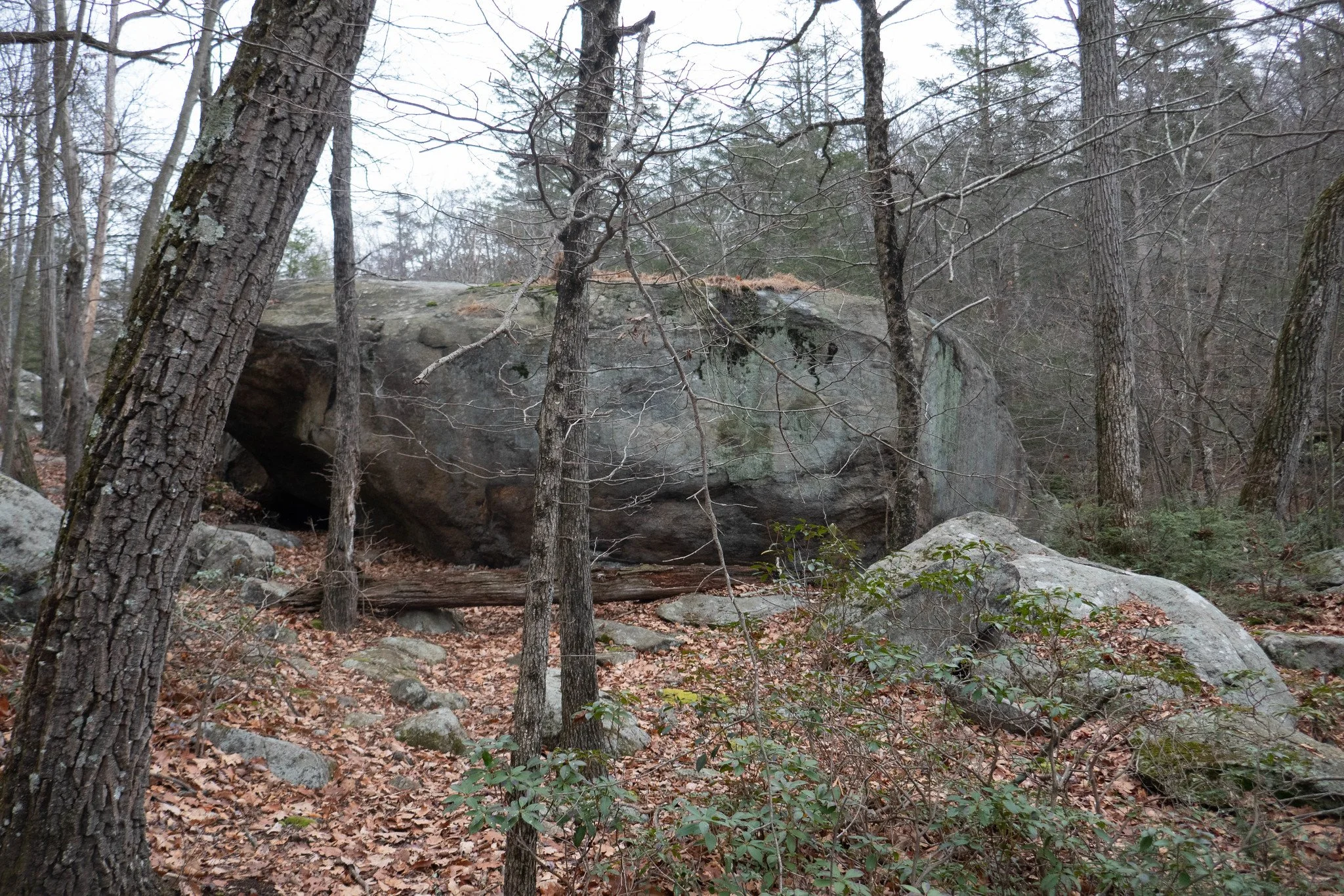 Harriman State Park NY, Pine Meadow Lake