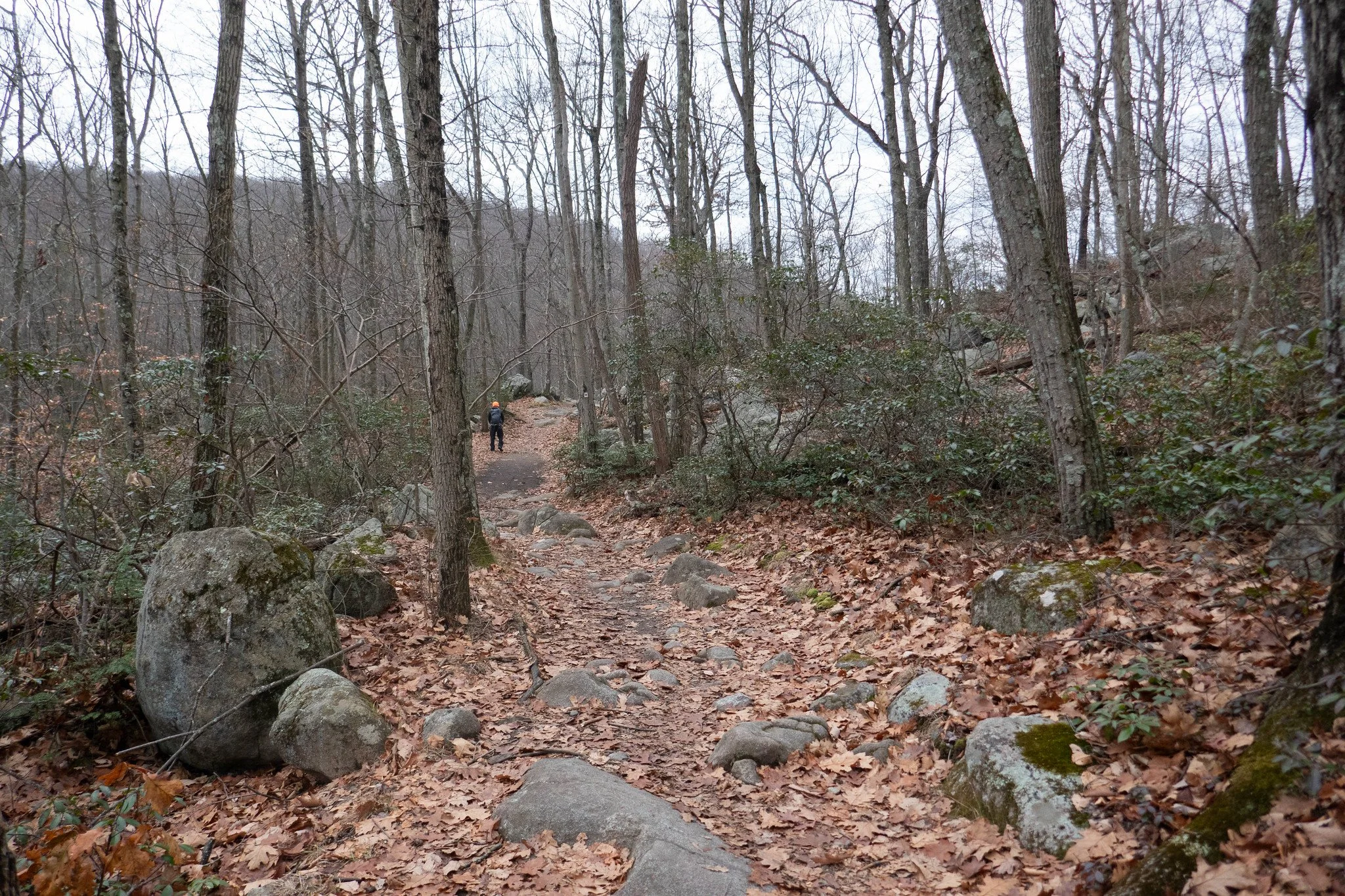 Harriman State Park NY, Pine Meadow Lake