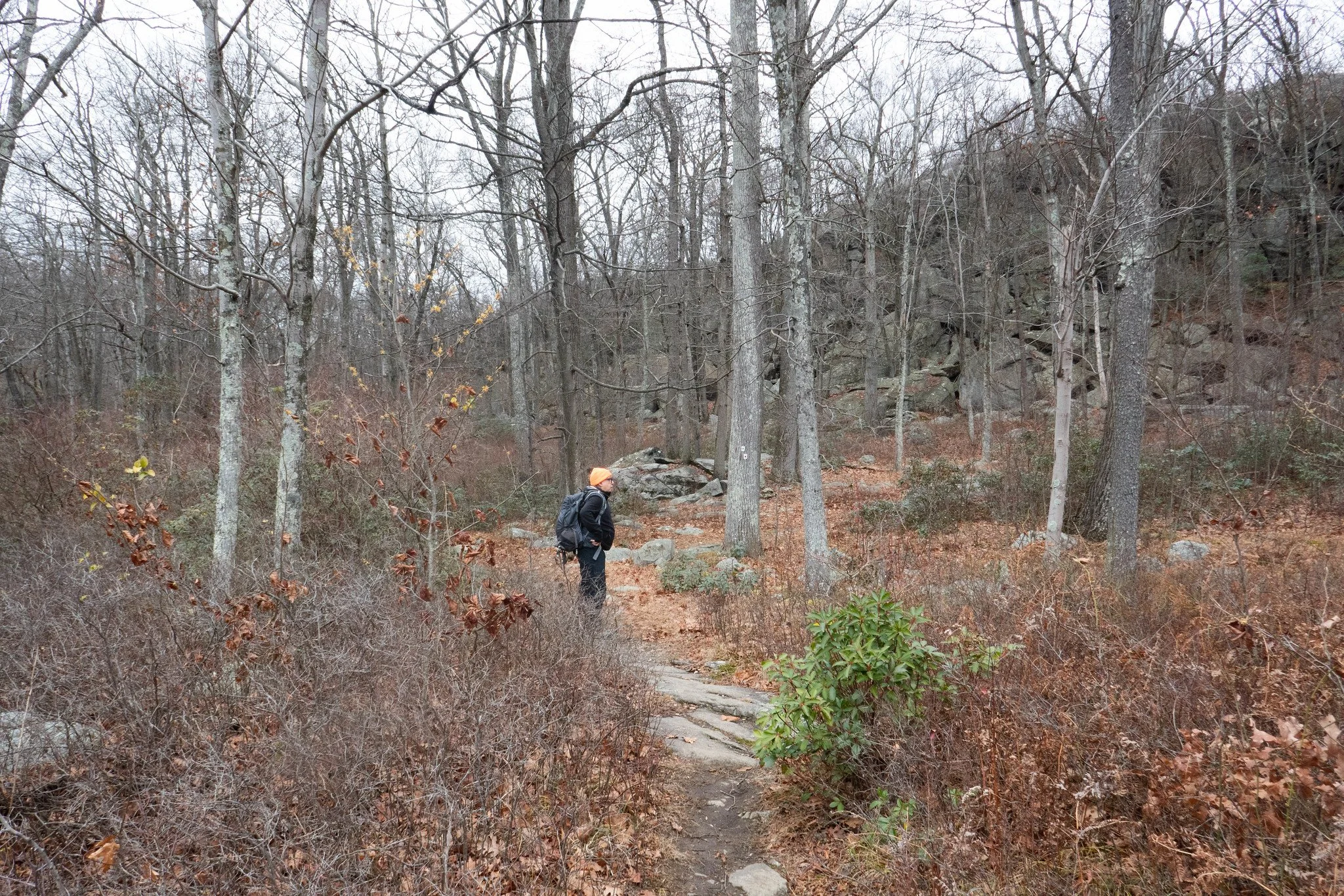 Harriman State Park NY, Pine Meadow Lake