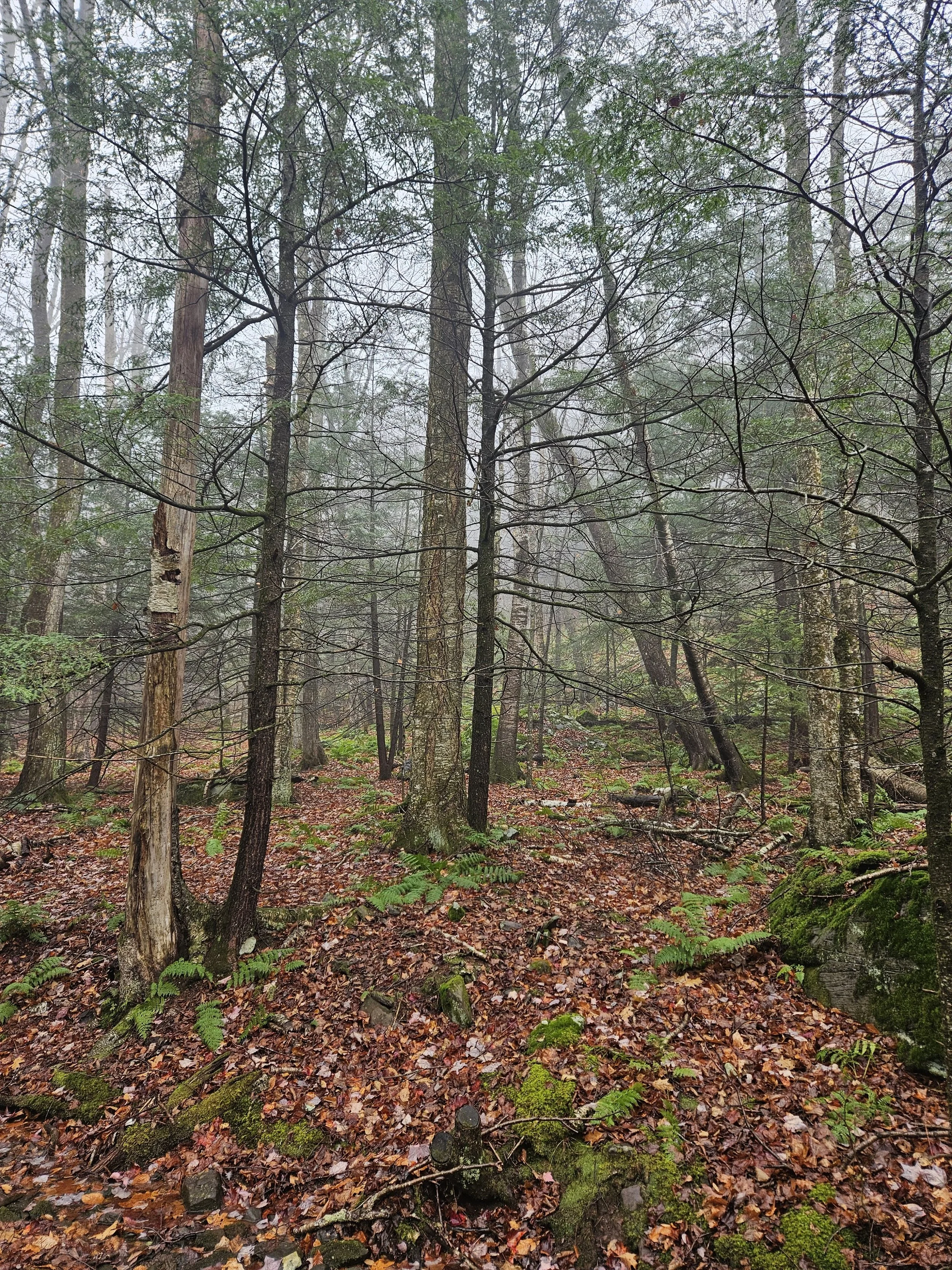 20251109_100415.jpg