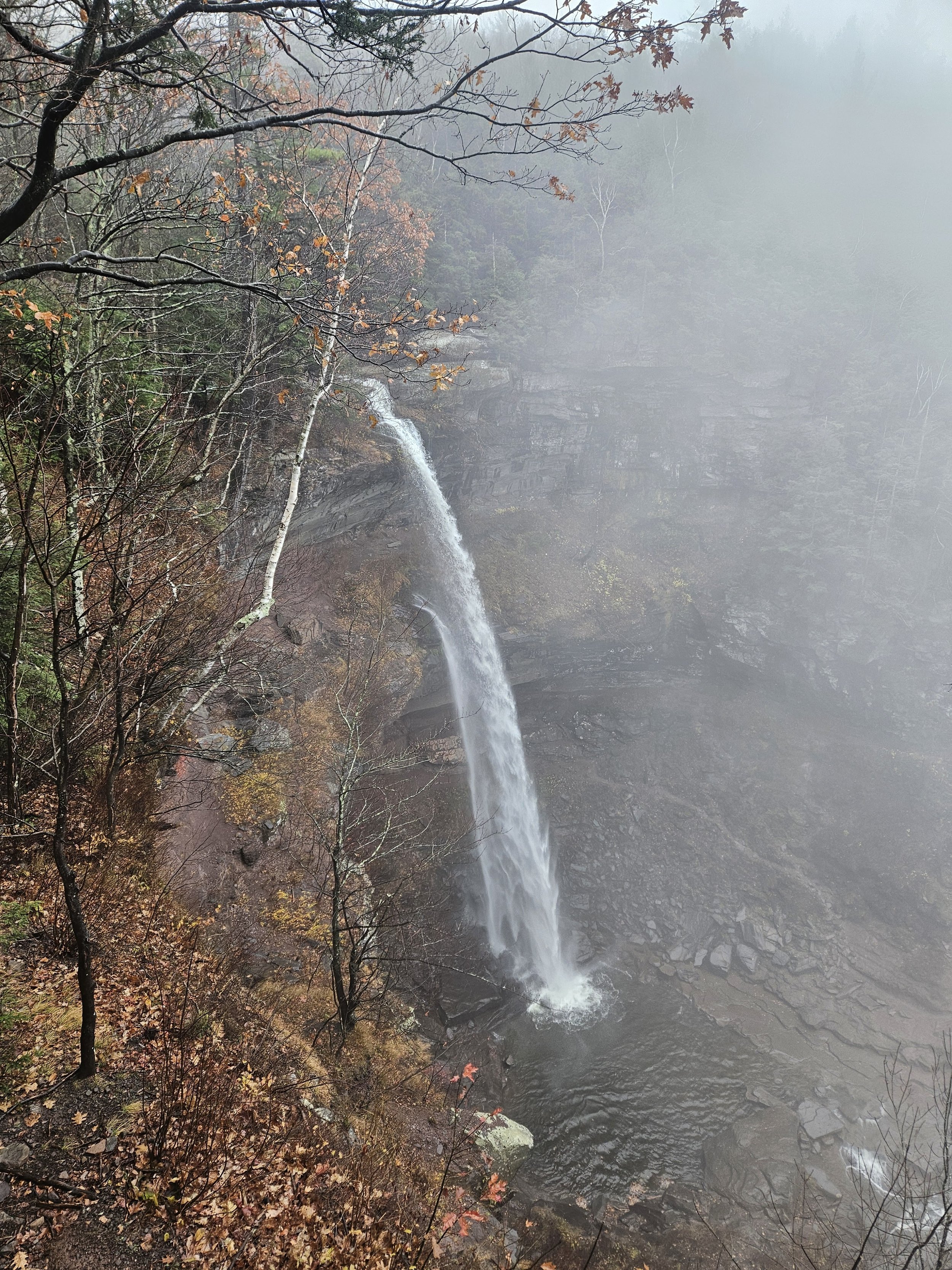 20251109_092238.jpg