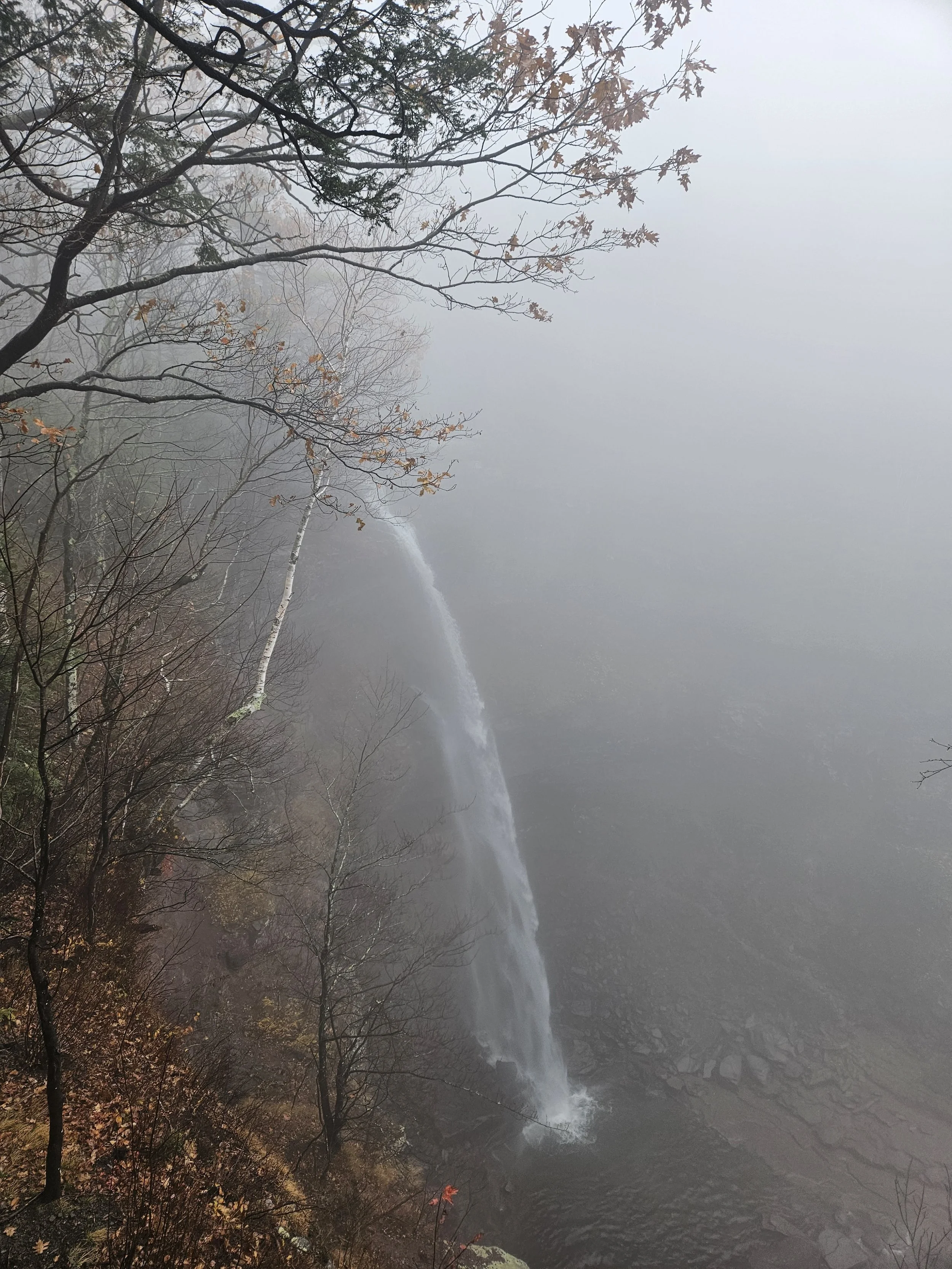 Catskills, Kaaterskill Falls &amp; North/South Lake Campground, Kaaterskill Wild Forest, November 9, 2025