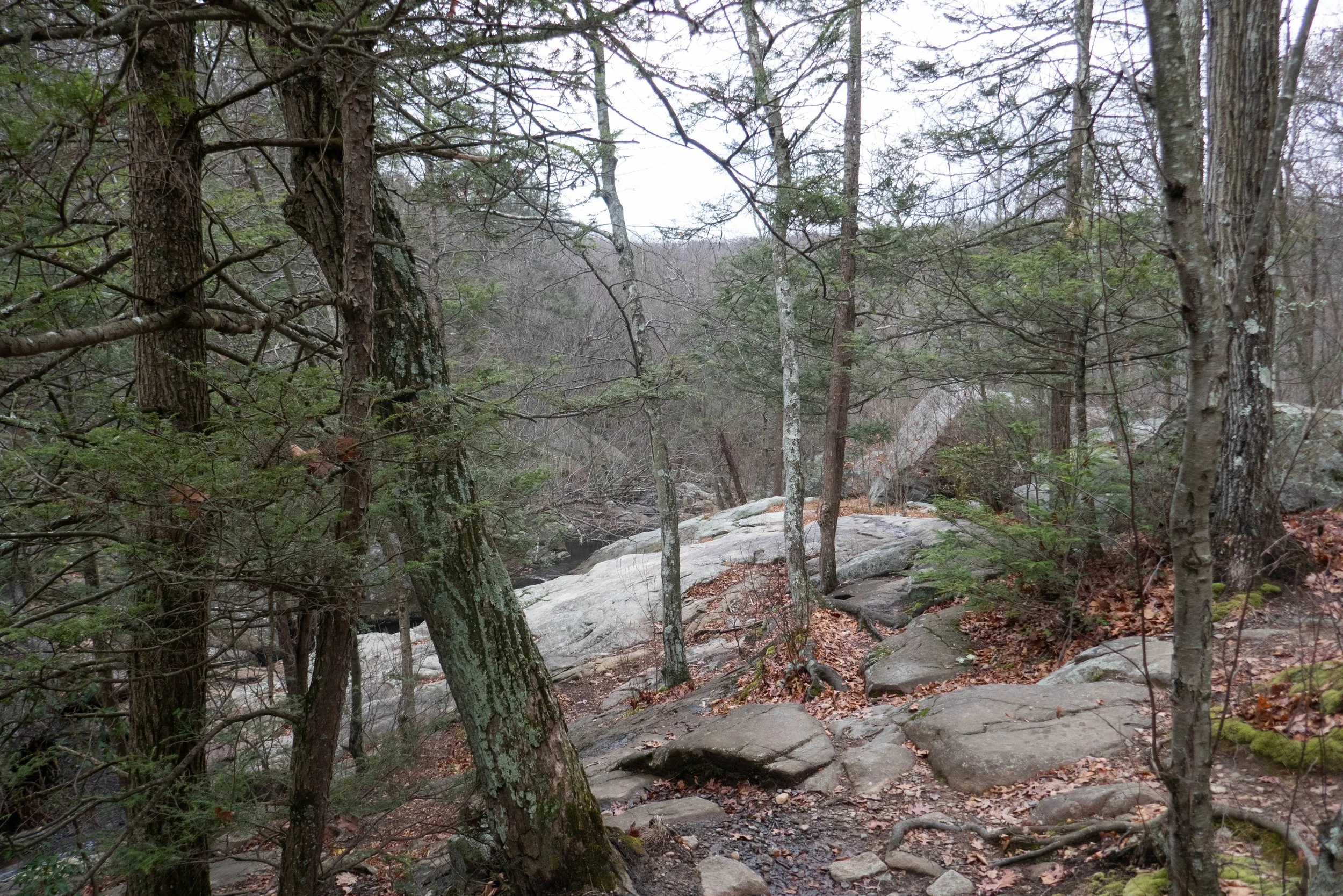 Harriman State Park, Pine Meadow Lake Out & Back, 6.7 Miles RT, 650' +/-, November 23, 2025