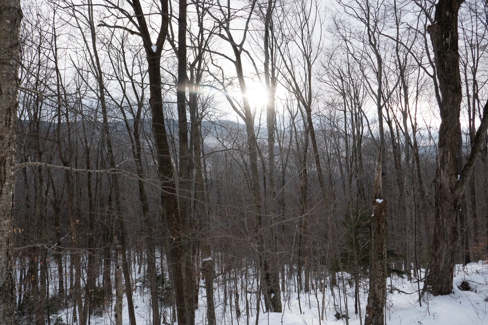 Catskills - Hunter Mountain, Phoenicia Lodge
