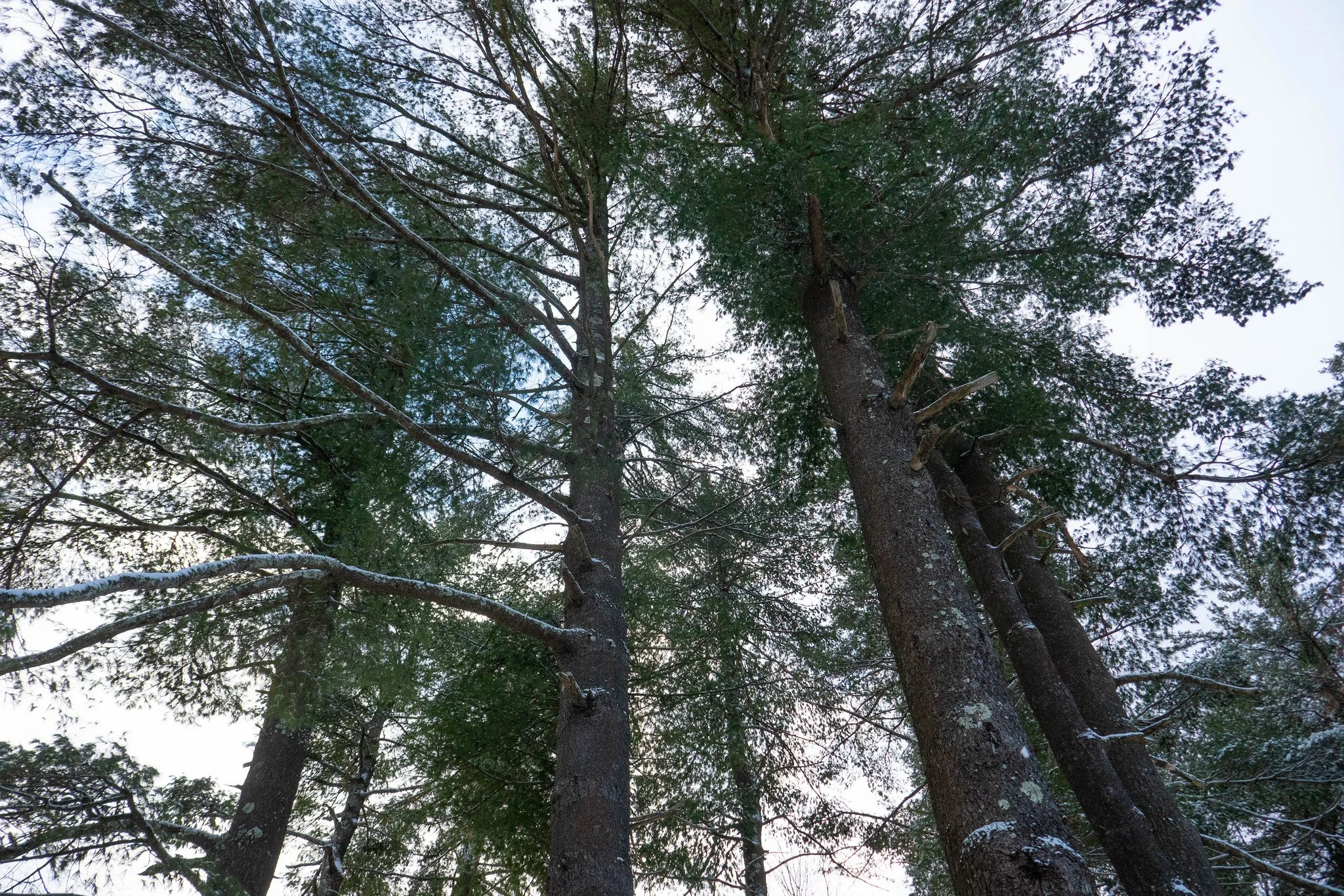 Catskills - Hunter Mountain, Phoenicia Lodge
