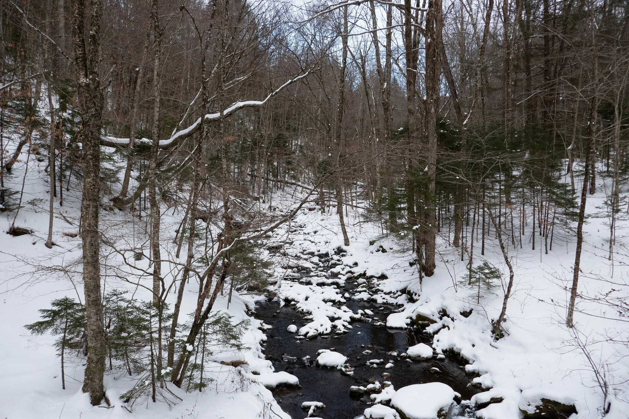 Catskills - Hunter Mountain, Phoenicia Lodge