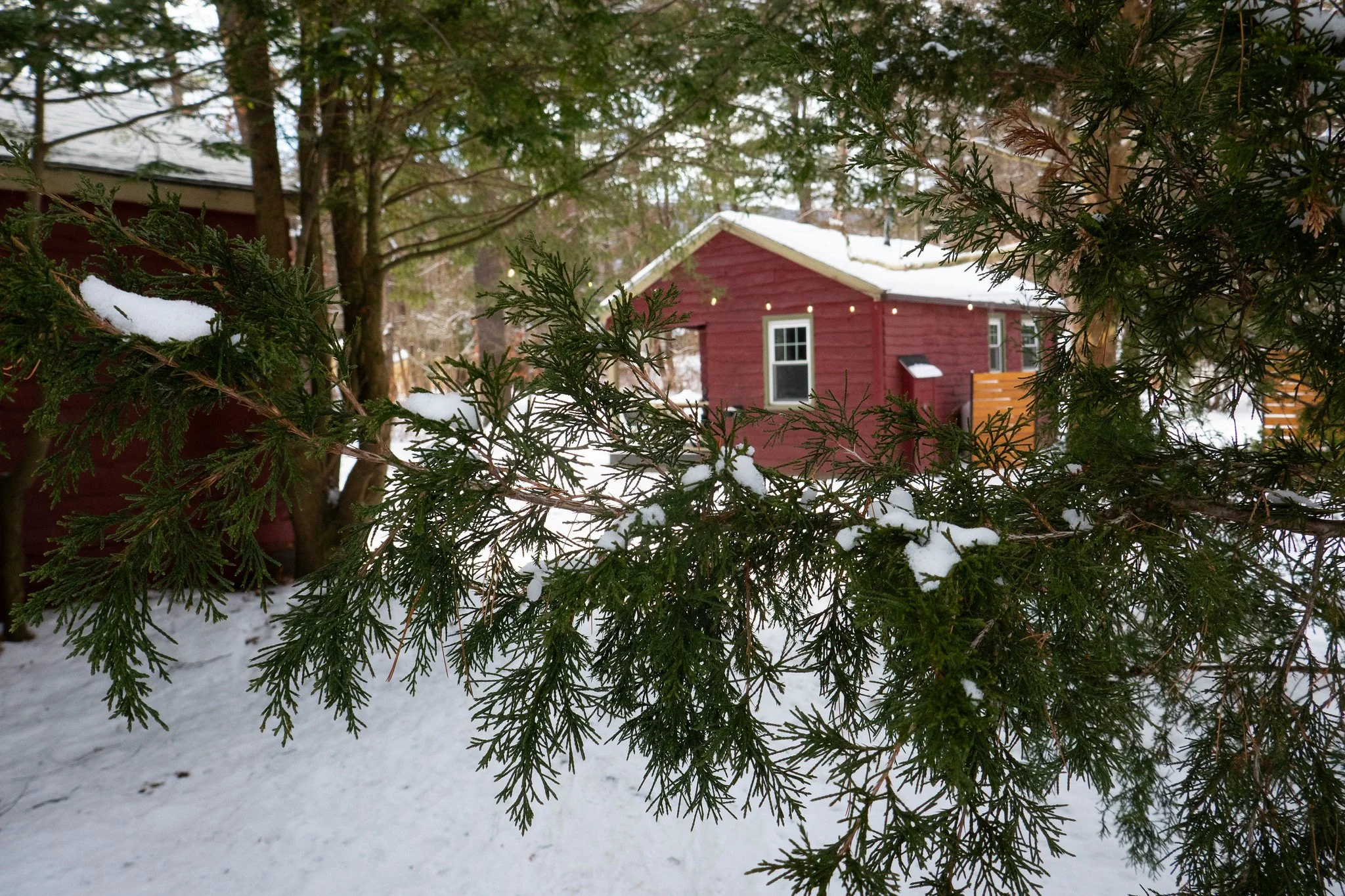 Catskills - Hunter Mountain, Phoenicia Lodge
