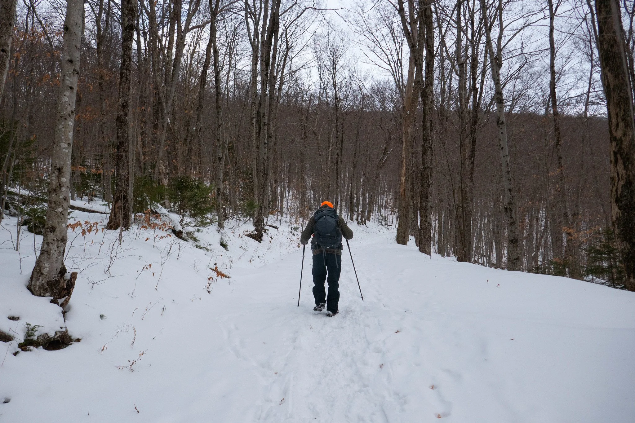 Catskills - Hunter Mountain, Phoenicia Lodge