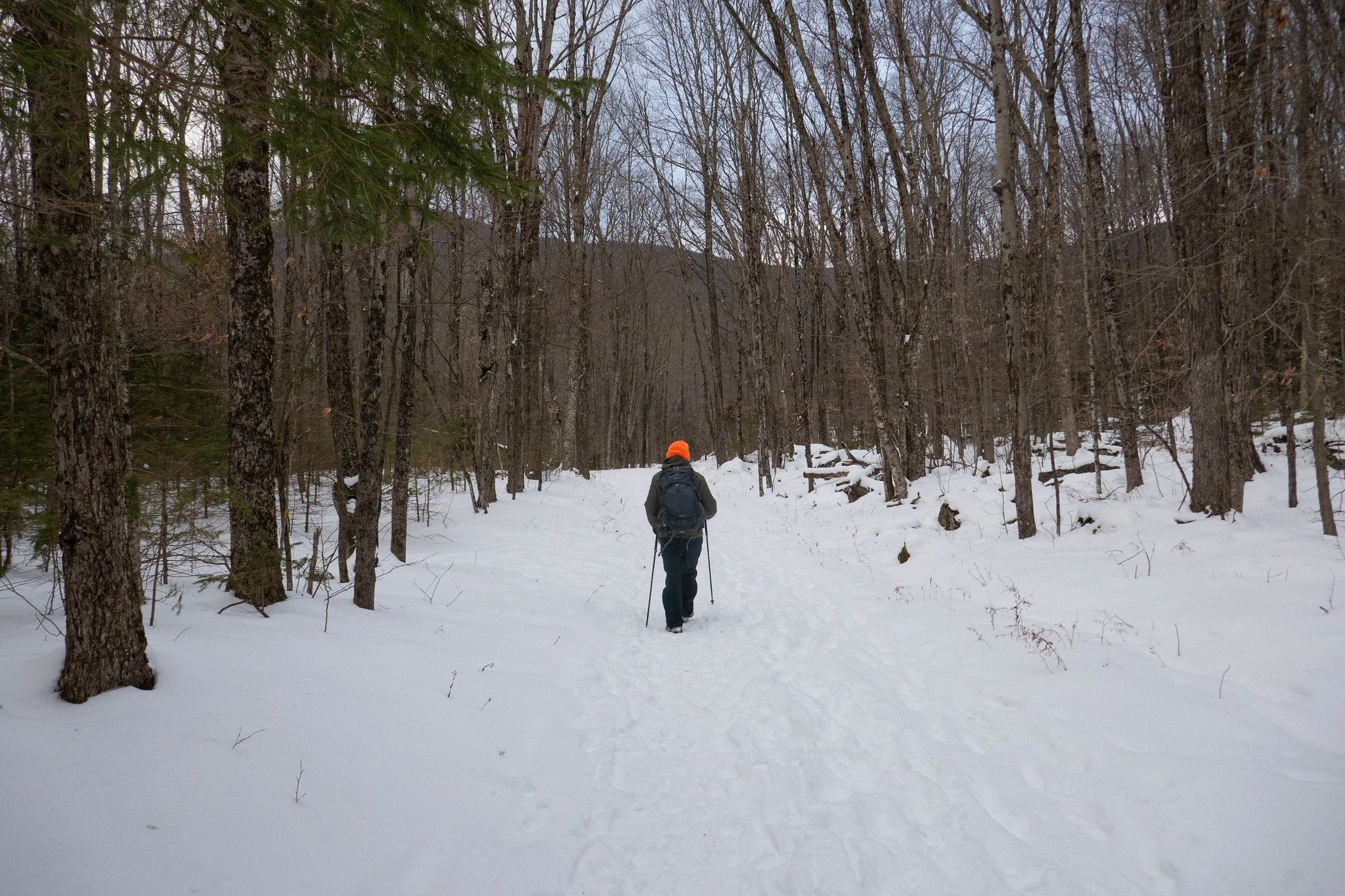 Catskills - Hunter Mountain, Phoenicia Lodge