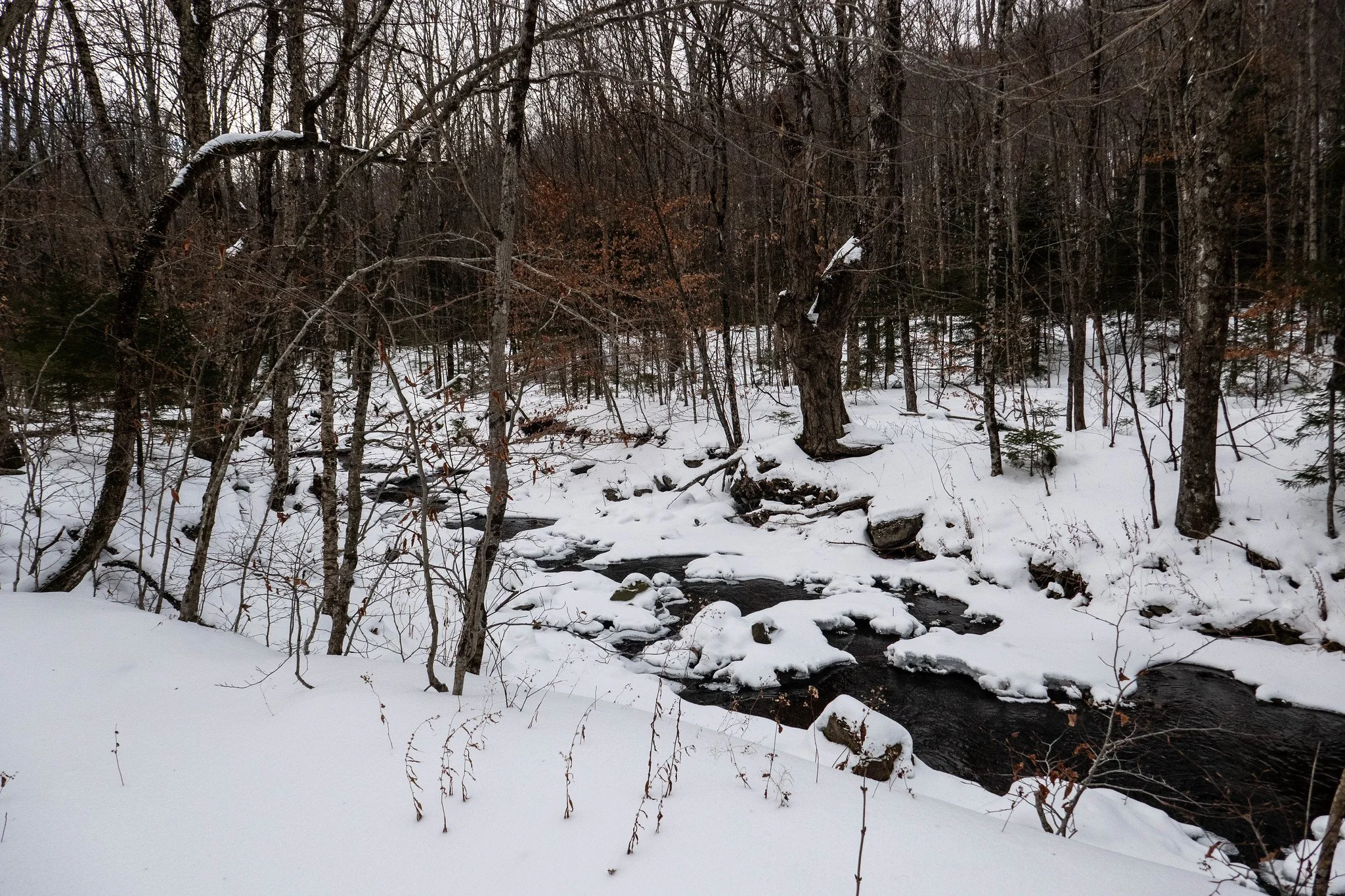 Catskills - Hunter Mountain, Phoenicia Lodge