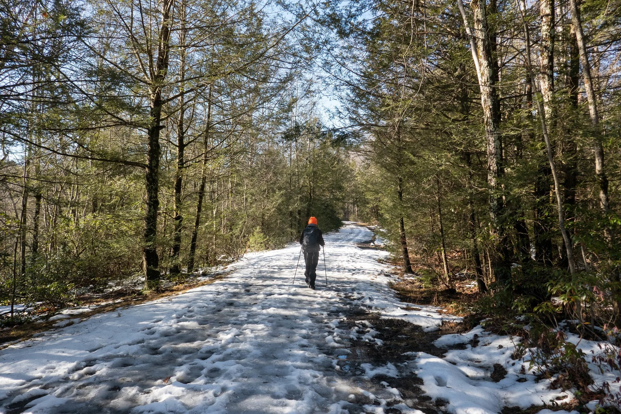 Minnewaska State Park Mossy Glen, Awosting Lake