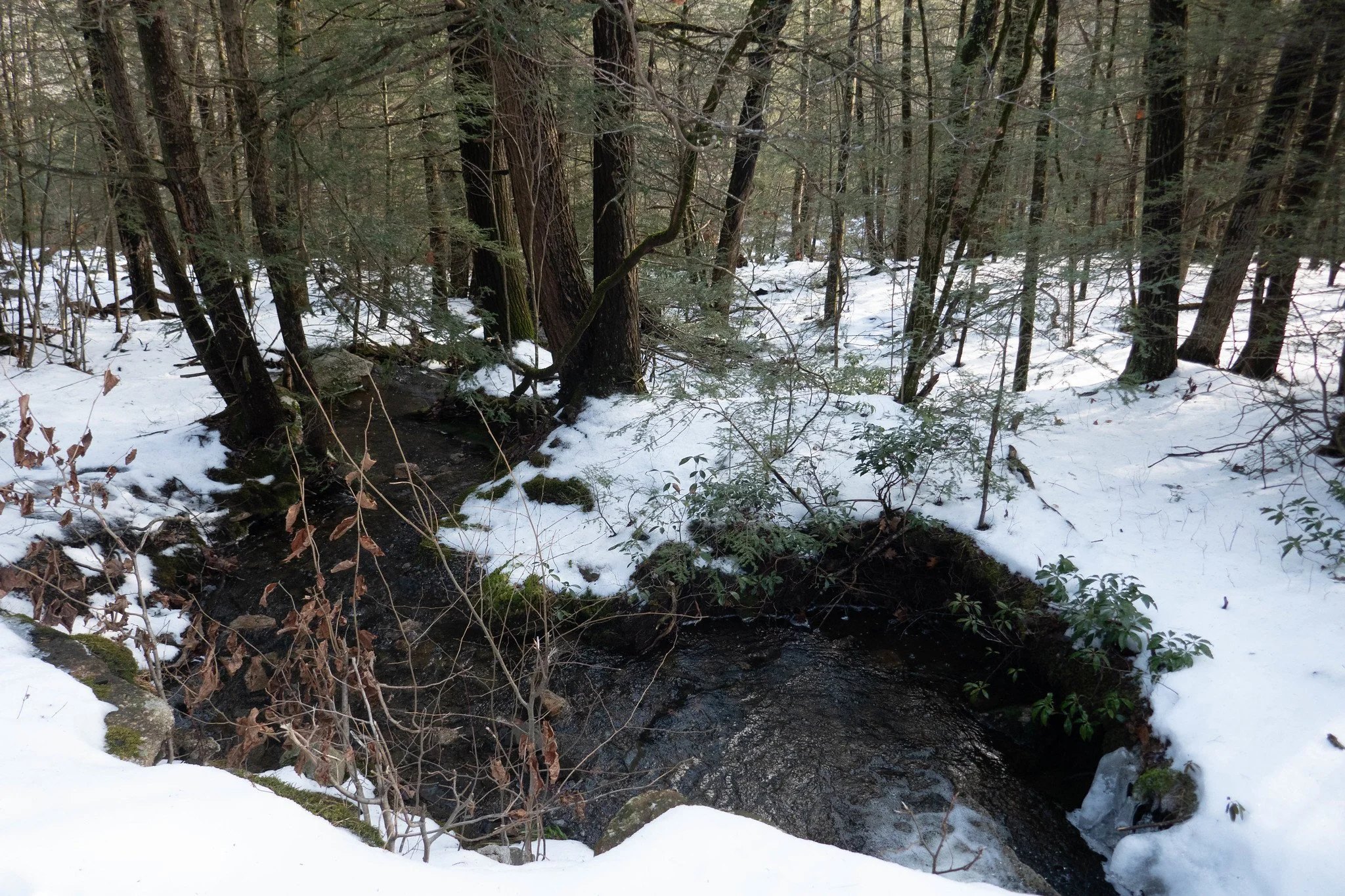 Minnewaska State Park Mossy Glen, Awosting Lake