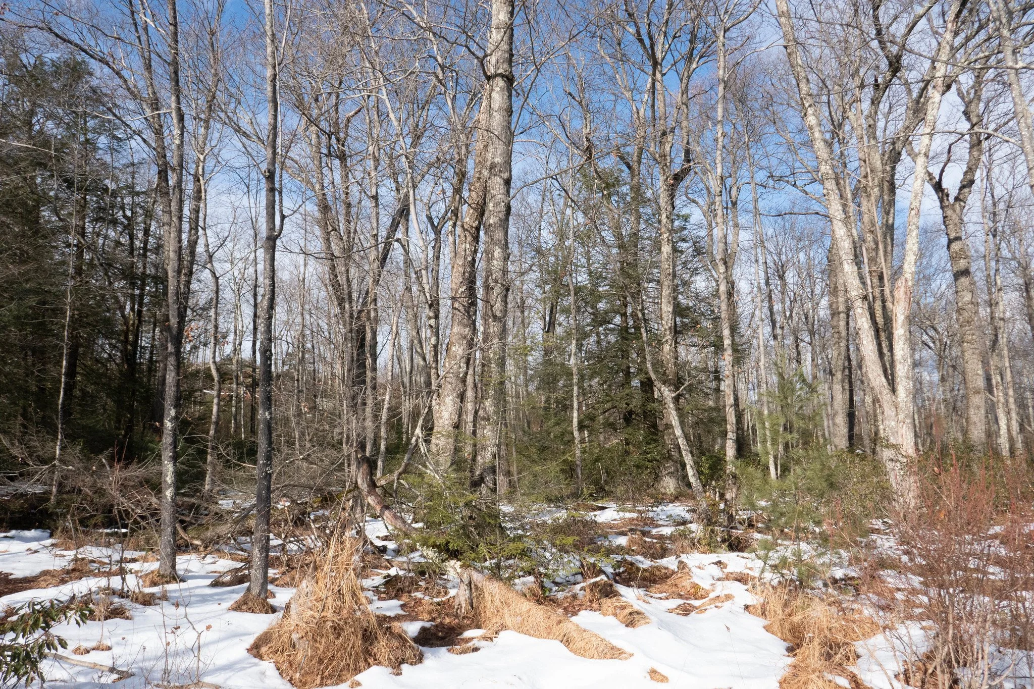 Minnewaska State Park Mossy Glen, Awosting Lake