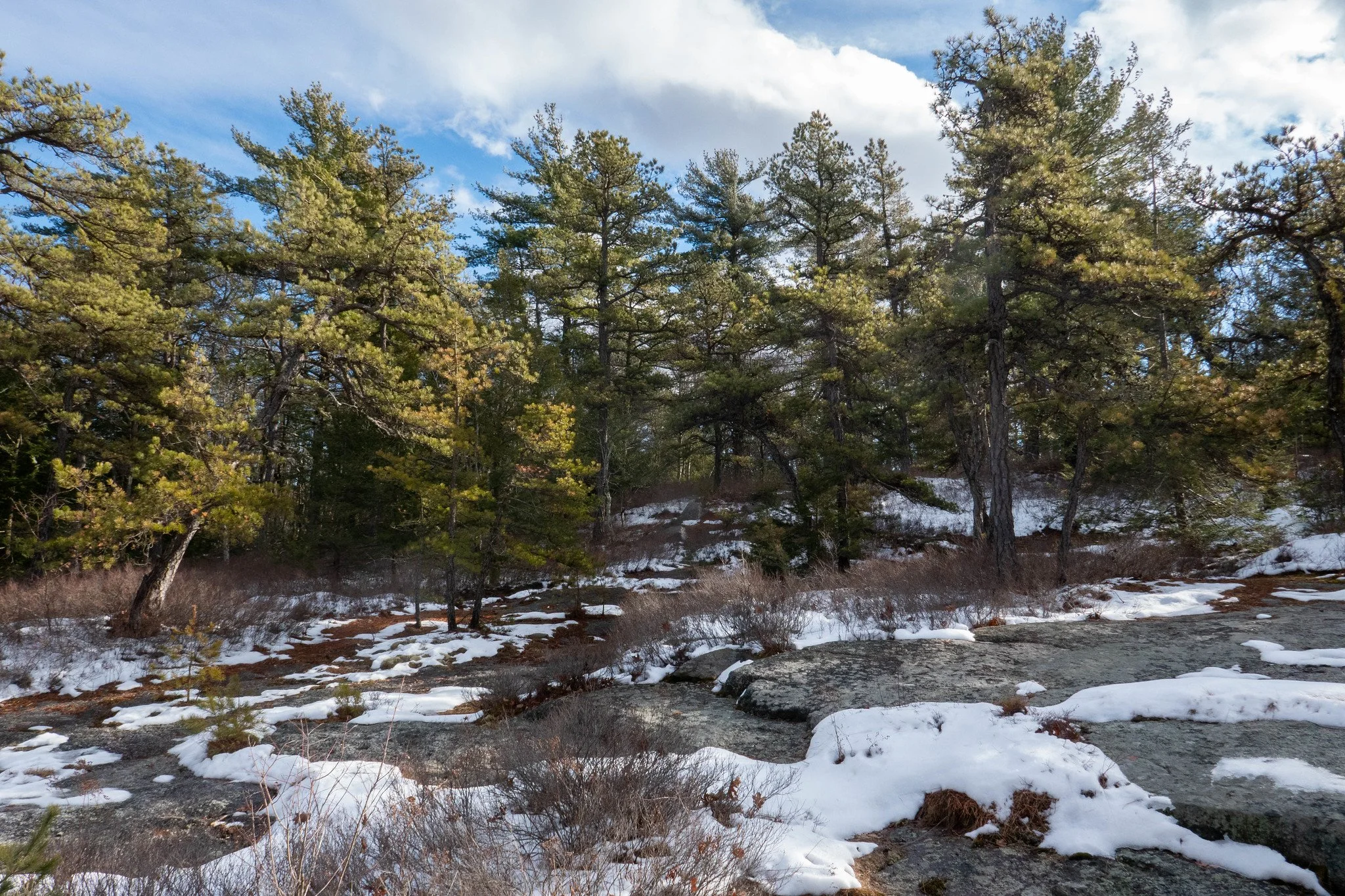 Minnewaska State Park Mossy Glen, Awosting Lake