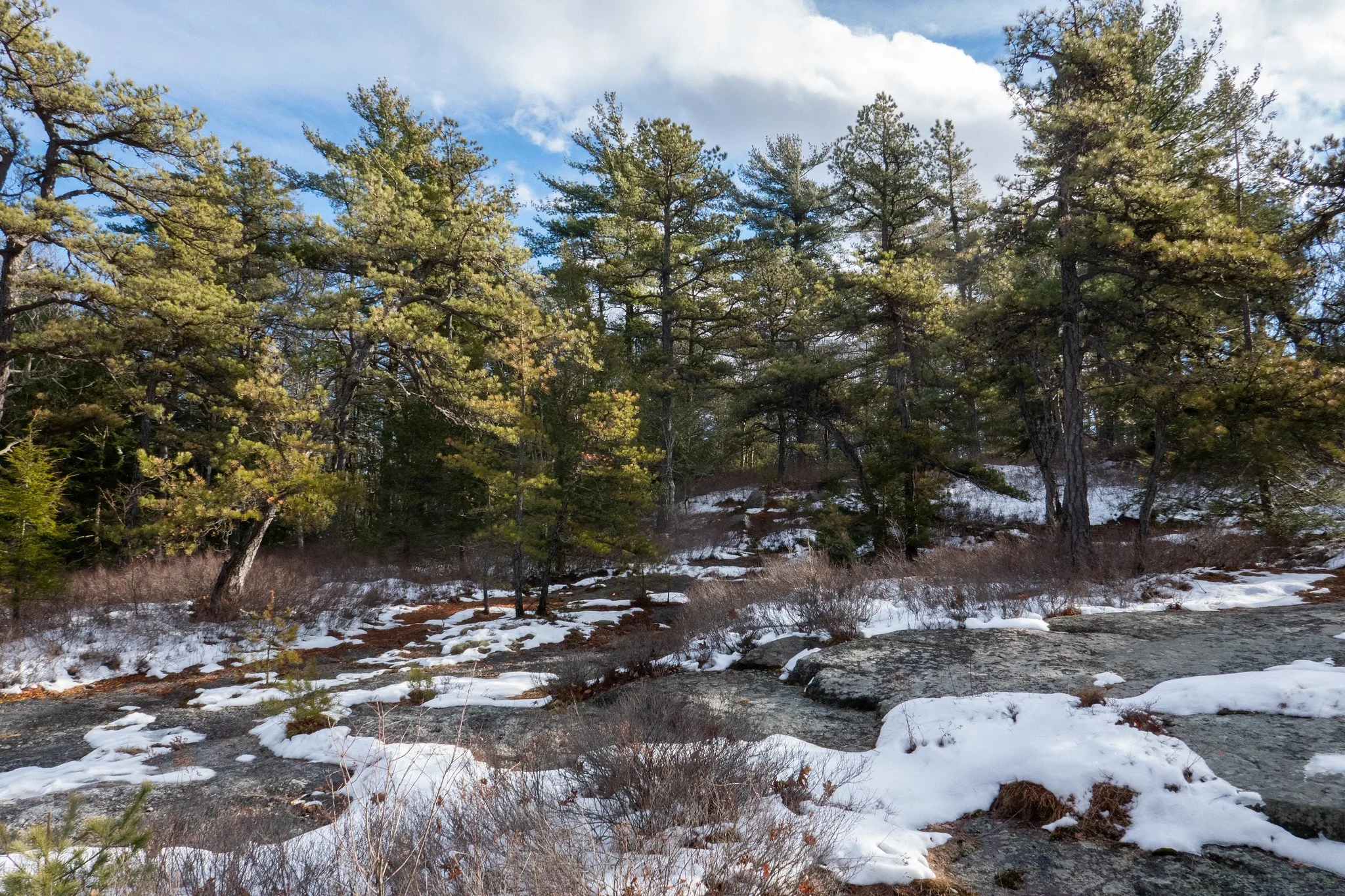 Minnewaska State Park Mossy Glen, Awosting Lake