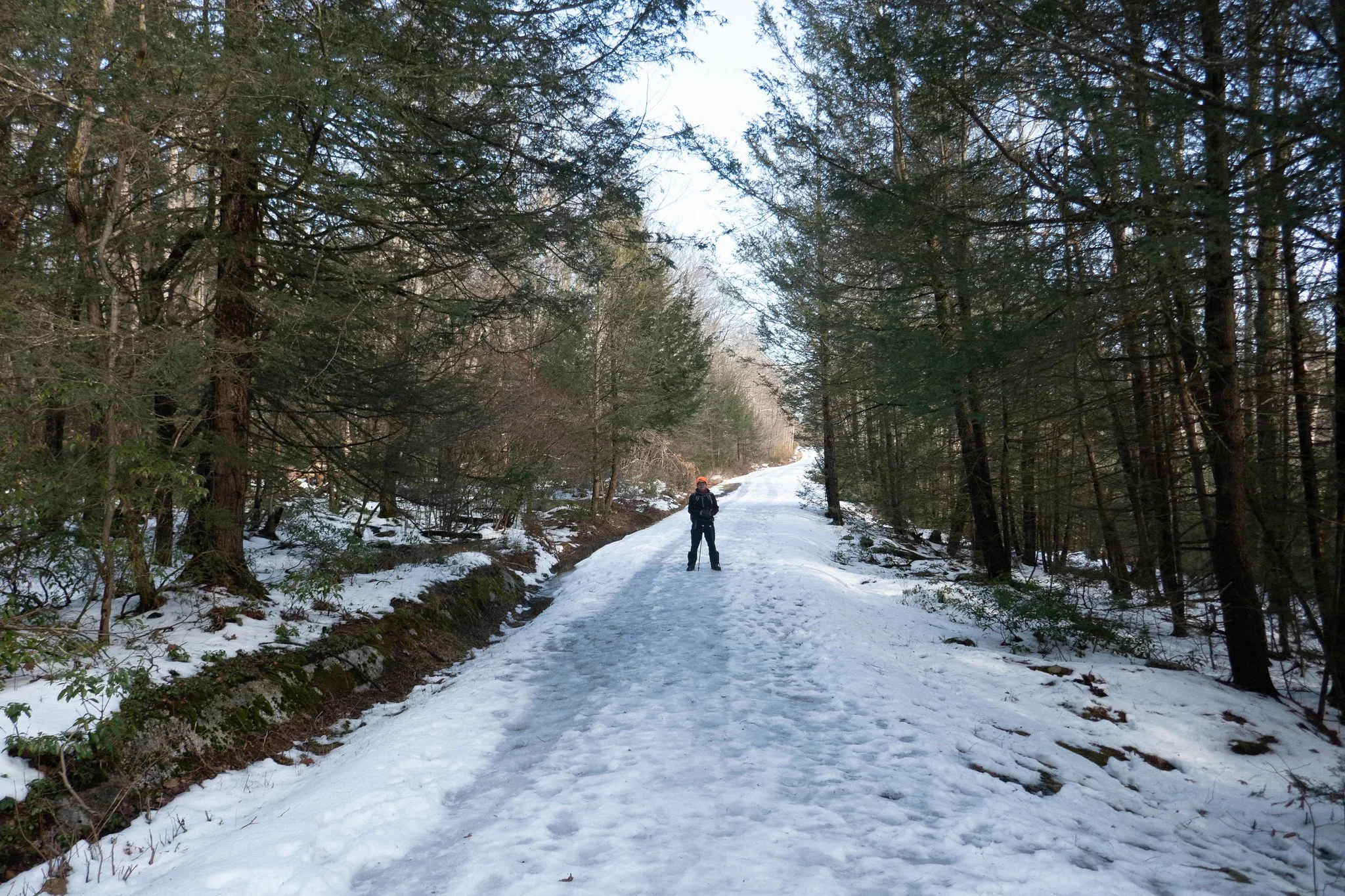 Minnewaska State Park Mossy Glen, Awosting Lake