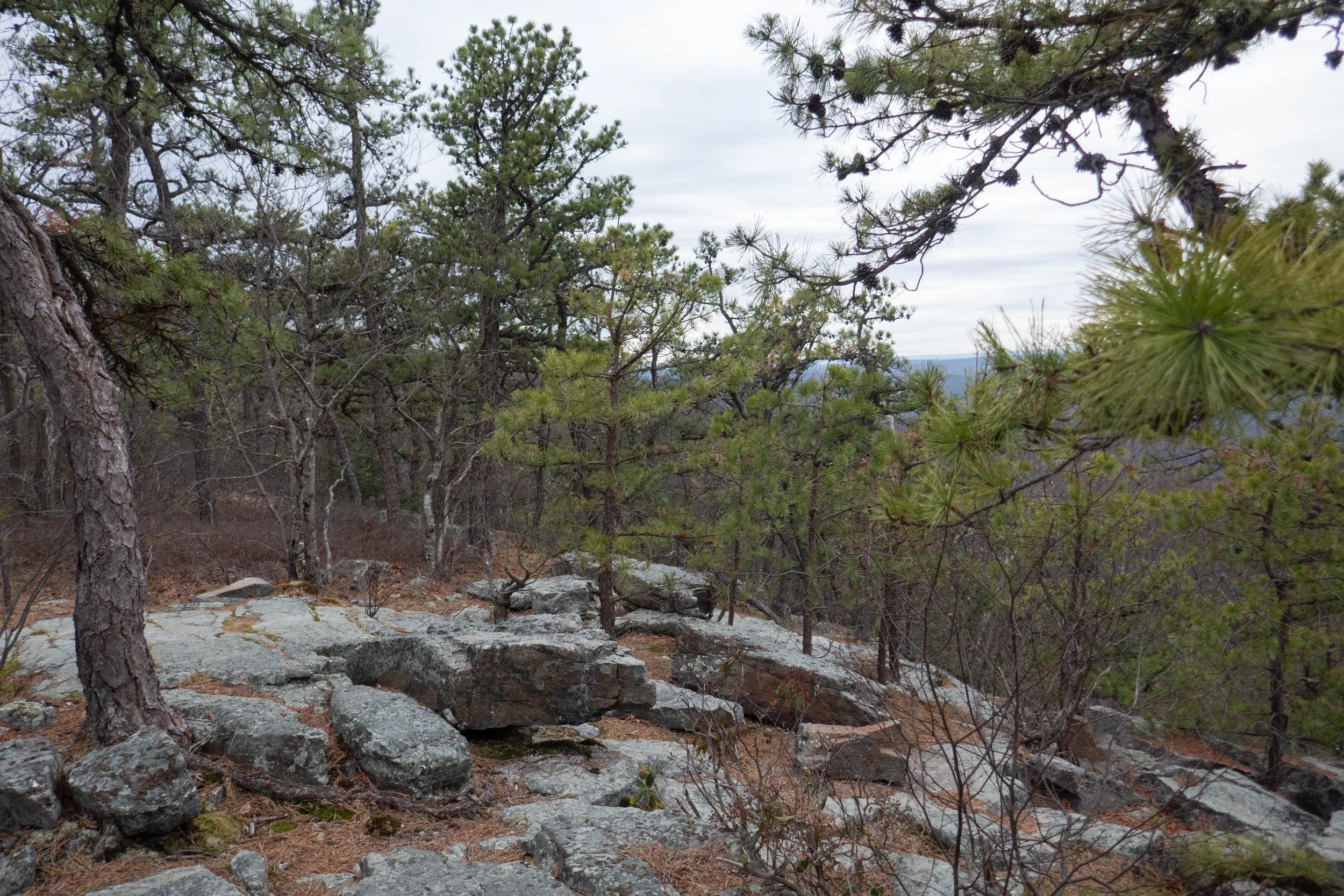 Delaware Water Gap, Blue Mountain Lake Trail, Hemlock Pond out and back, 5 Miles RT, Max Elevation 1,581', March 15, 2026