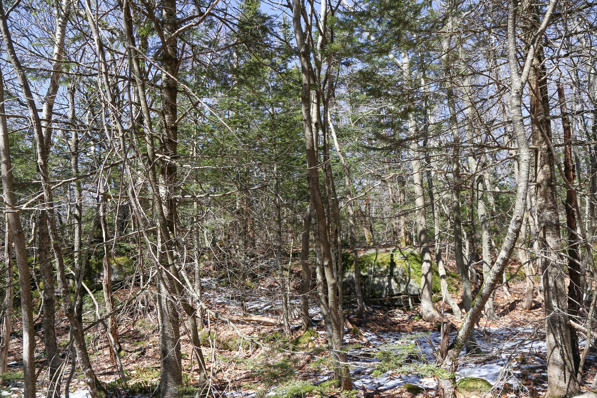 Catskills, Balsam Lake Mountain Fire Tower Hike