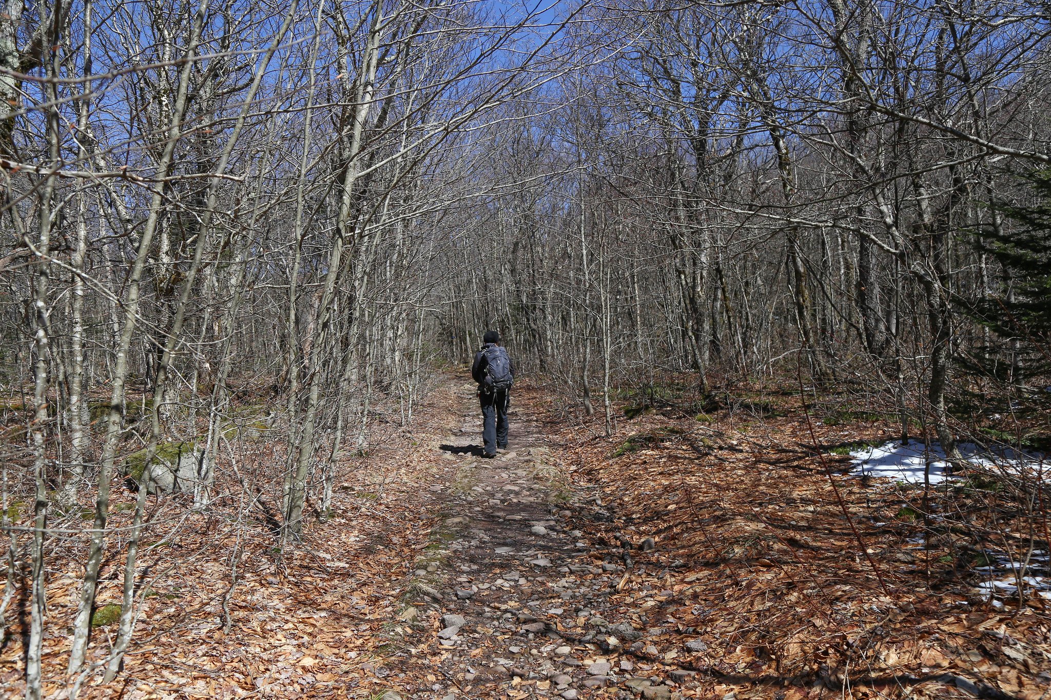Catskills, Balsam Lake Mountain Fire Tower Hike