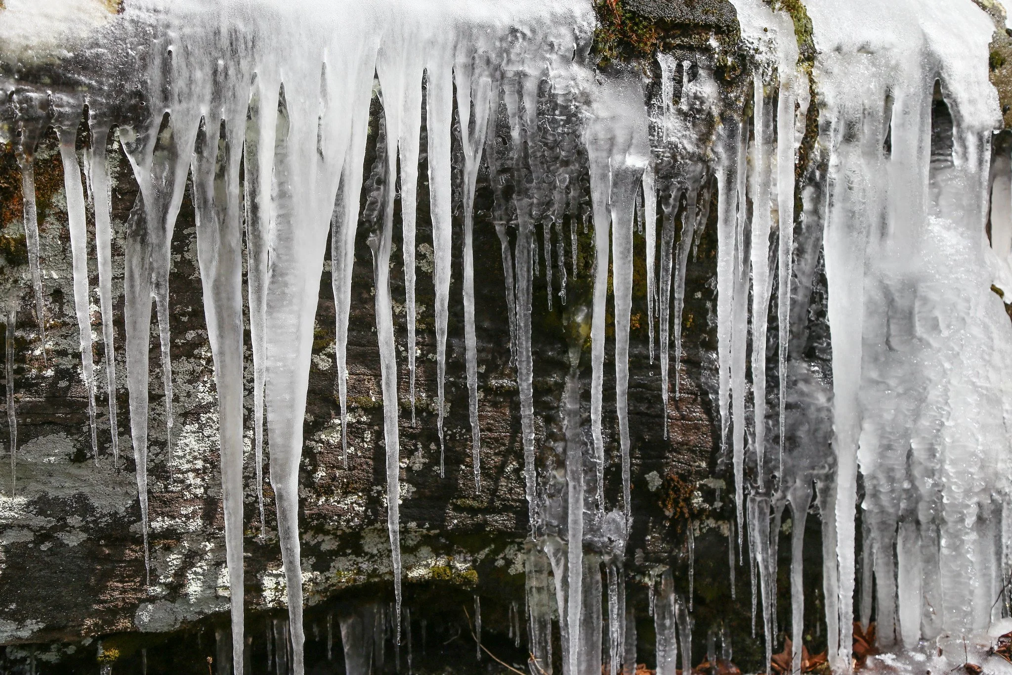 Catskills, Balsam Lake Mountain Fire Tower Hike