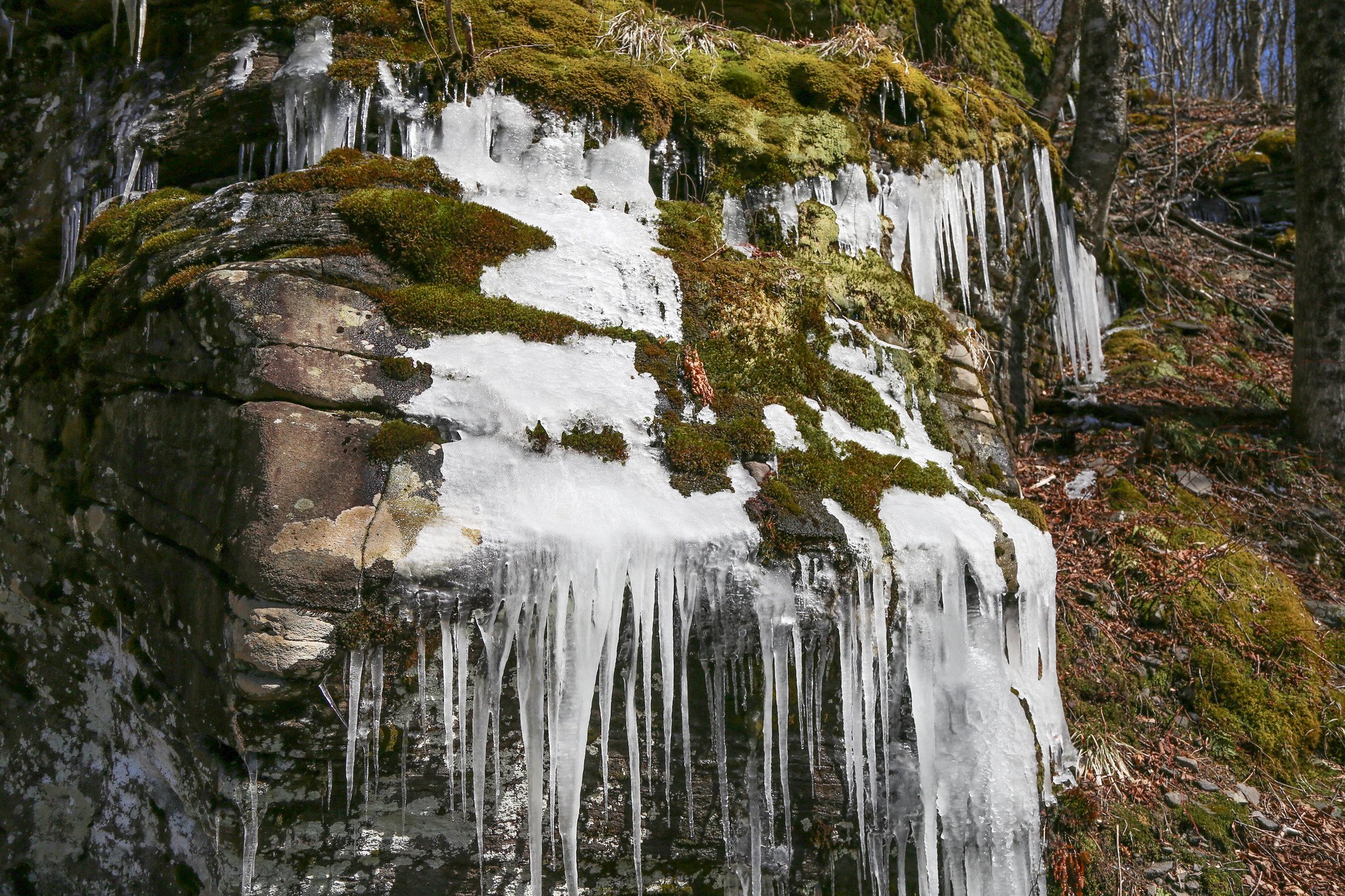 Catskills, Balsam Lake Mountain Fire Tower Hike