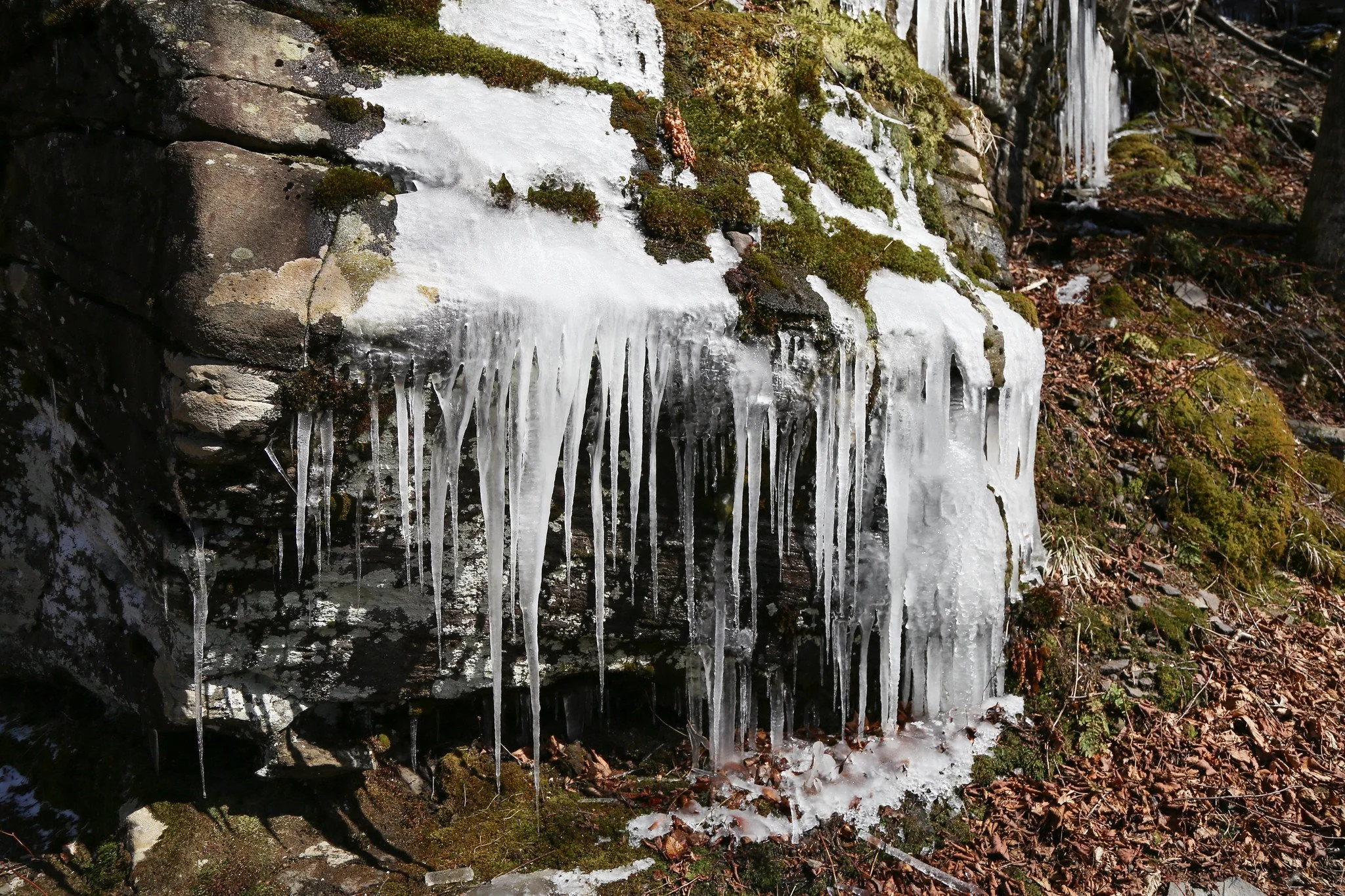 Catskills, Balsam Lake Mountain Fire Tower Hike