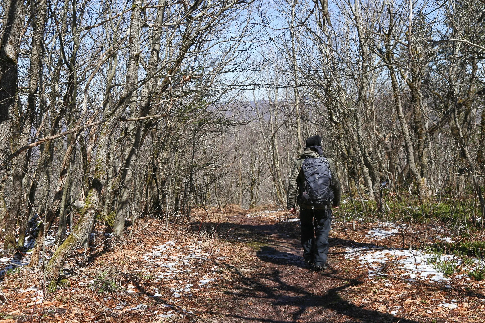 Catskills, Balsam Lake Mountain Fire Tower Hike