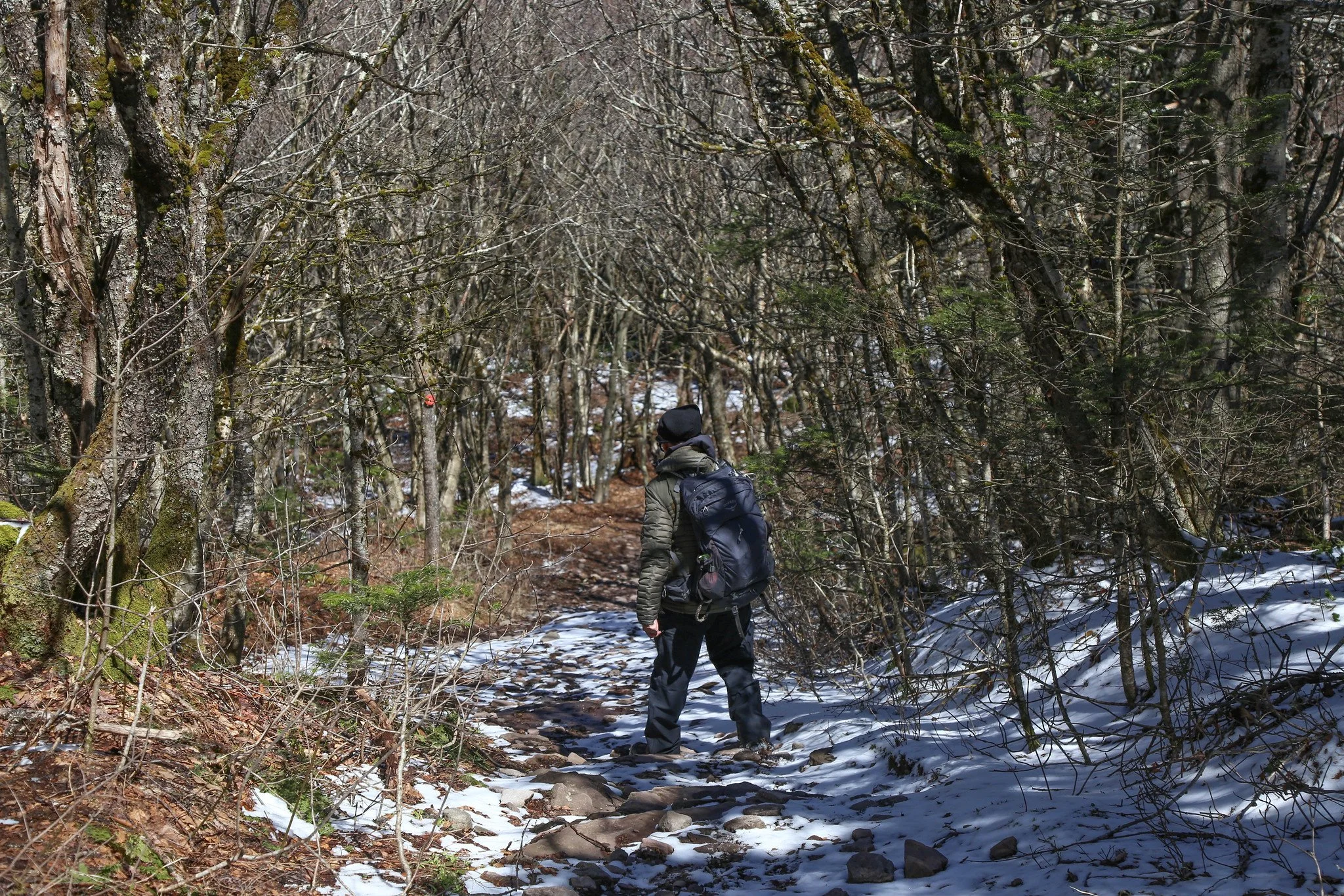 Catskills, Balsam Lake Mountain Fire Tower Hike