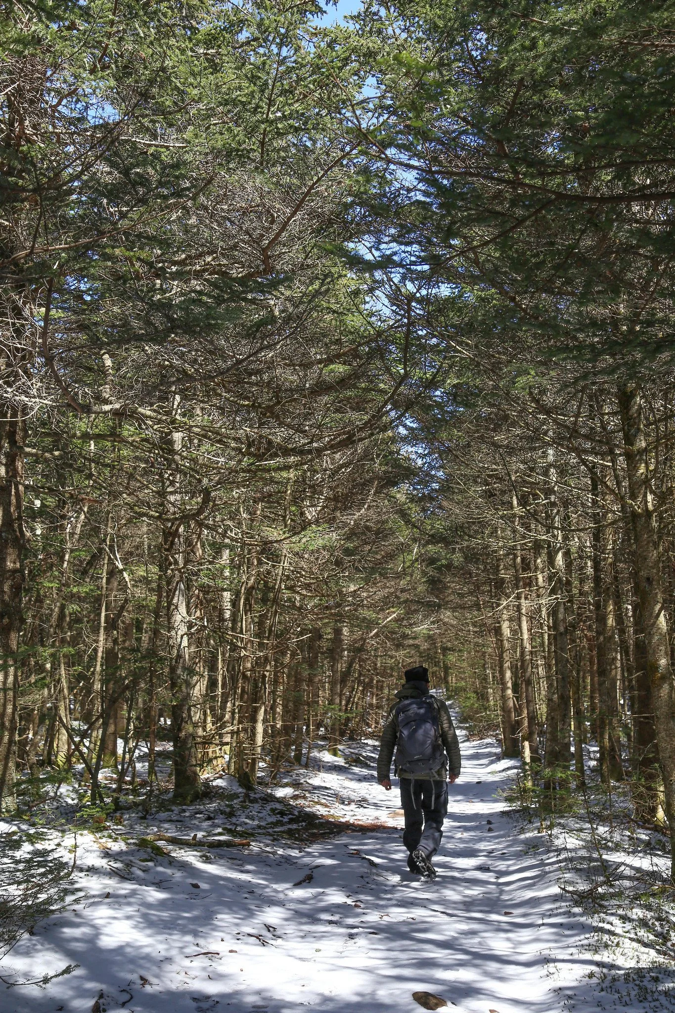 Catskills, Balsam Lake Mountain Fire Tower Hike