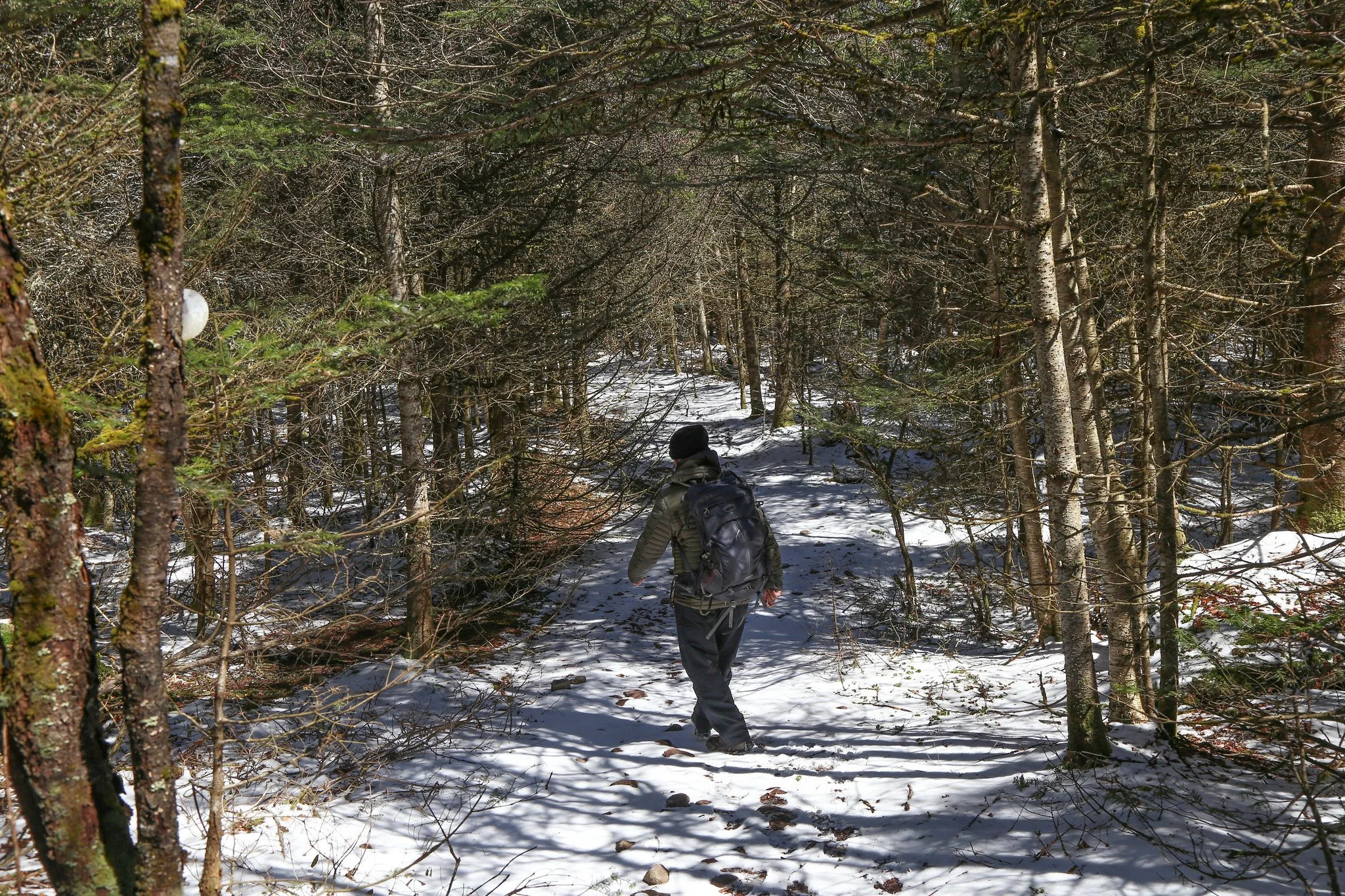 Catskills, Balsam Lake Mountain Fire Tower Hike