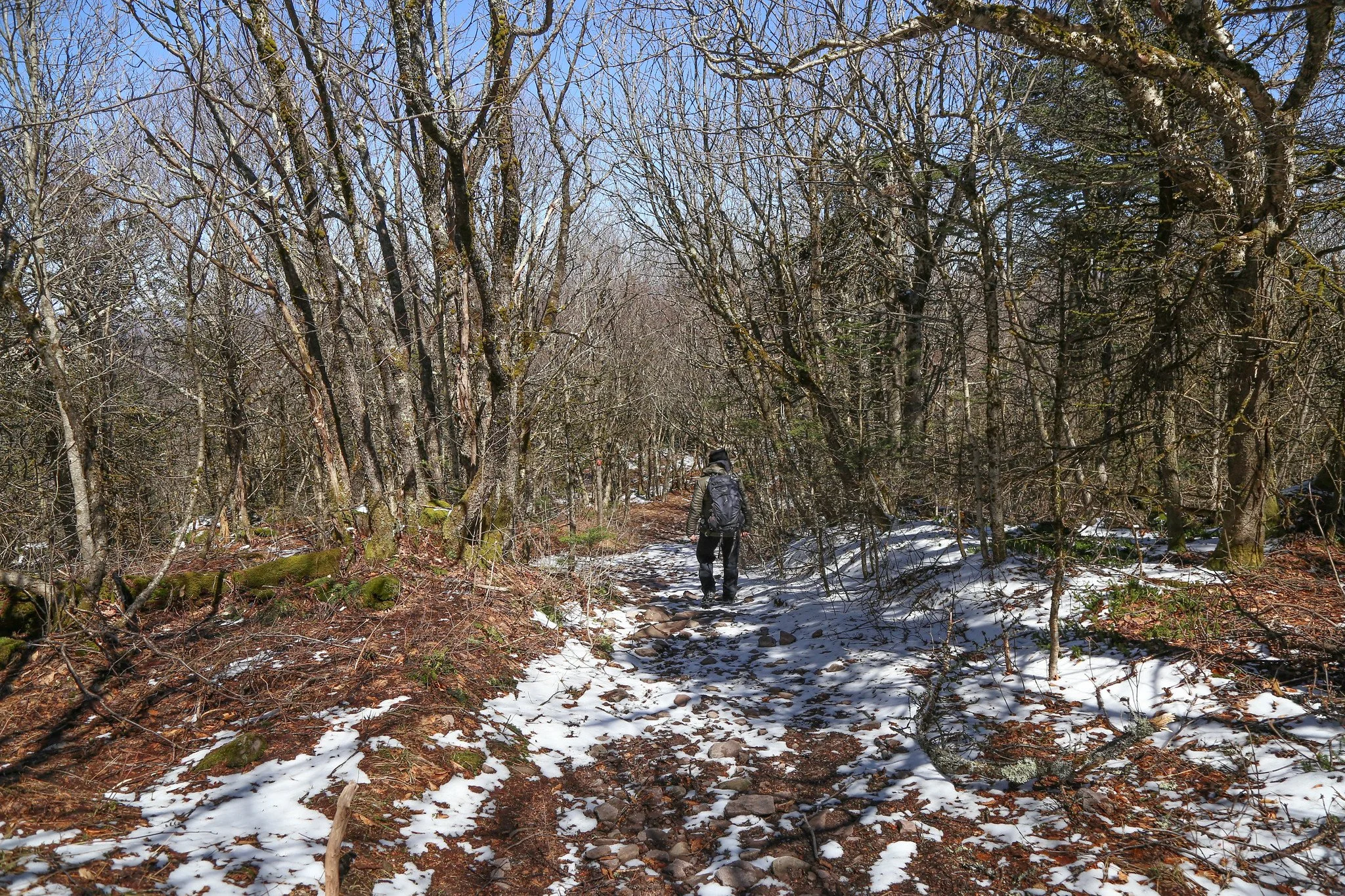 Catskills, Balsam Lake Mountain Fire Tower Hike