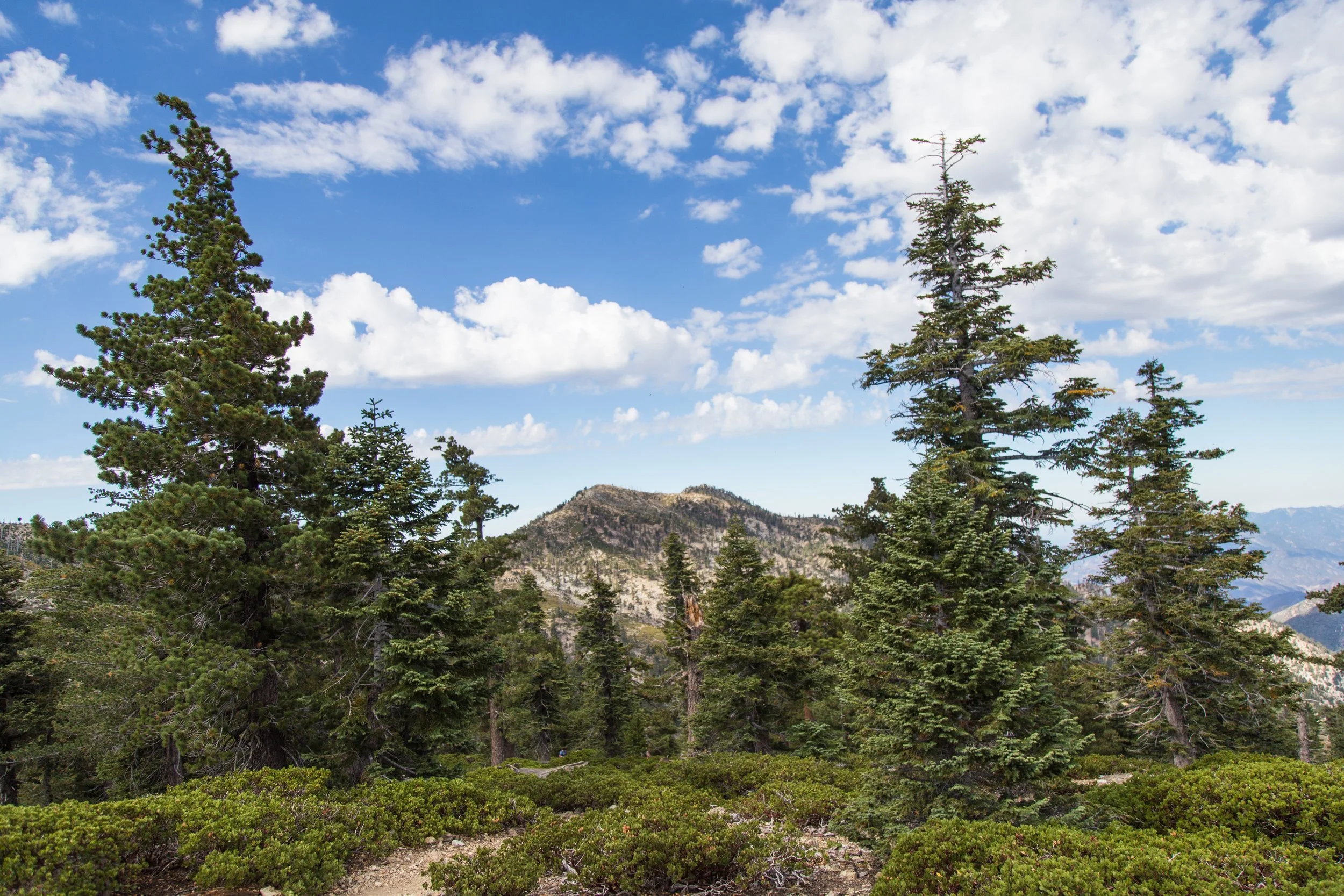2017-08-27-angeles-nf-icehouse-canyon-to-timber-mtn_36021198094_o.jpg