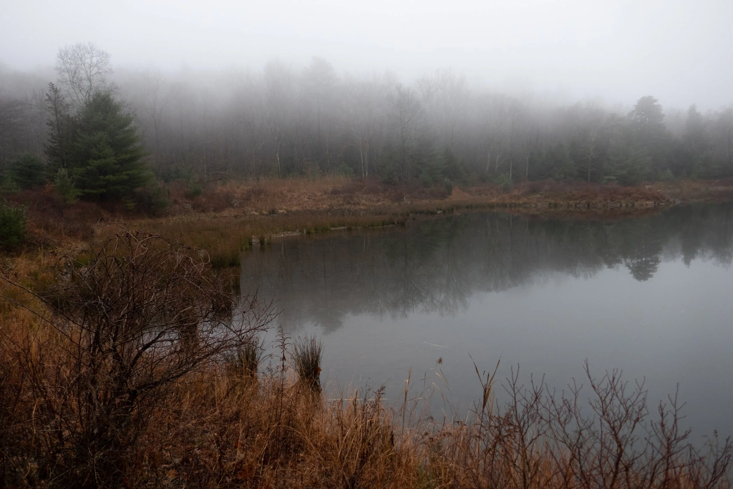 delaware-water-gap-coventry-pond-donkey-hollow-millbrook-village_51807953322_o.jpg