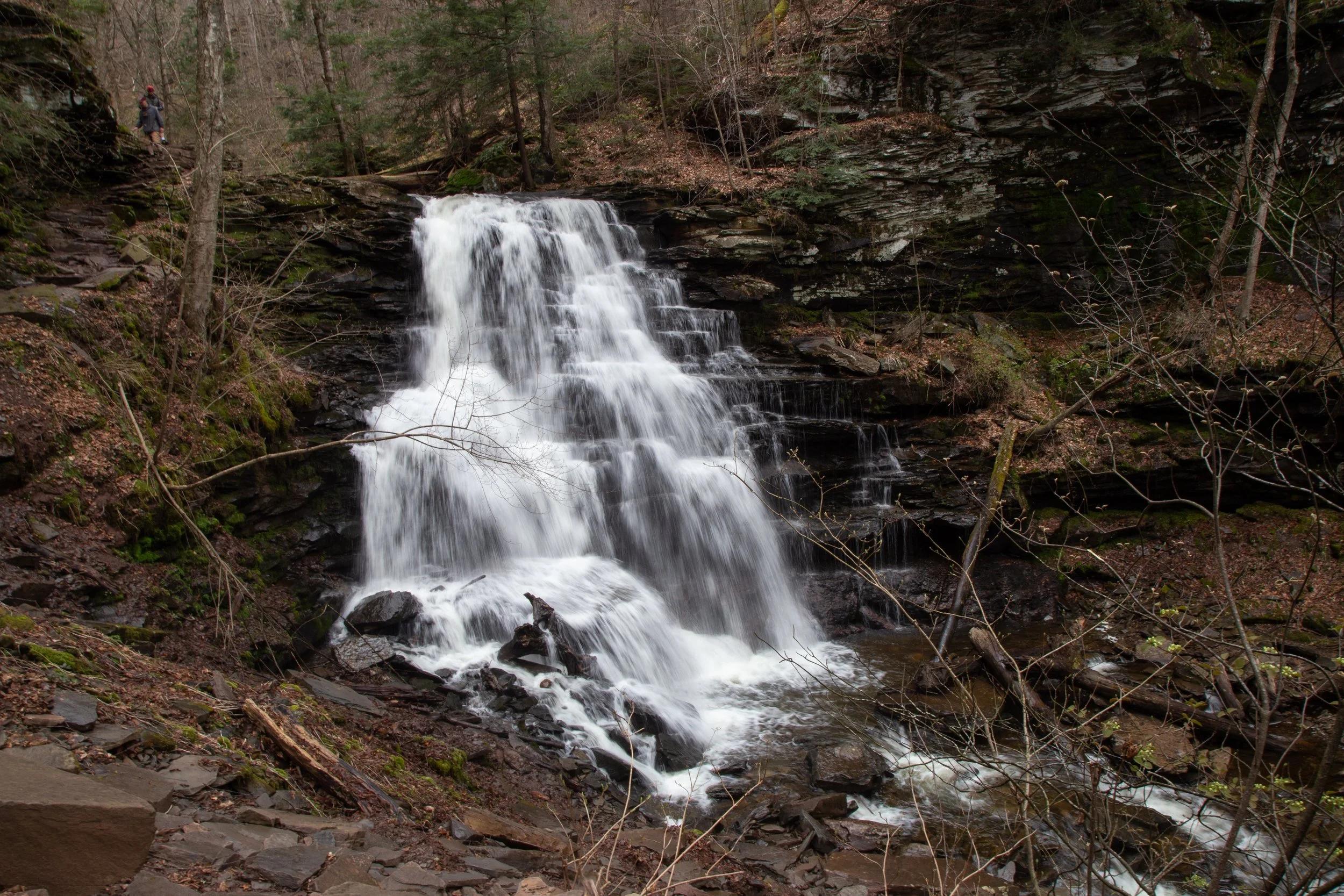 ricketts-glen-state-park-falls-trail-loop_51130348648_o.jpg