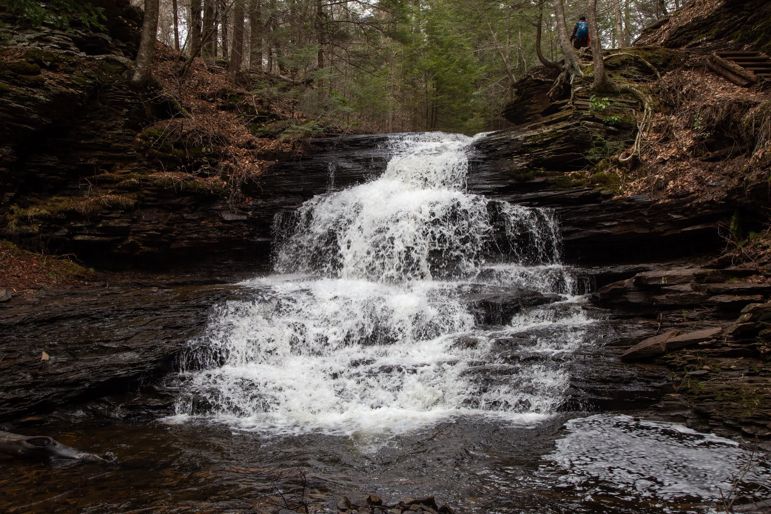ricketts-glen-state-park-falls-trail-loop_51130417339_o.jpg