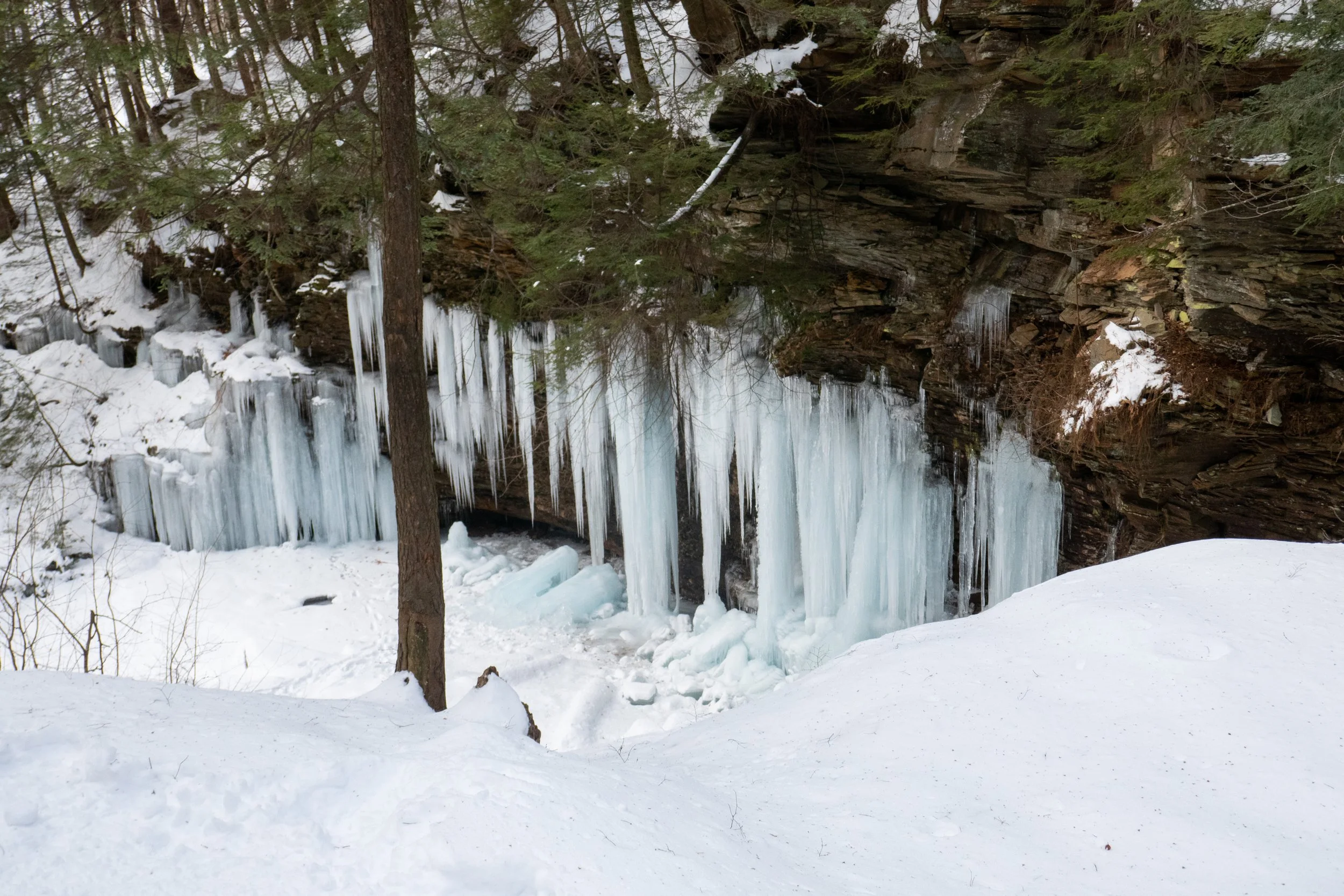 ricketts-glen-state-park-ice-hiking-the-falls-trail_51841407175_o.jpg