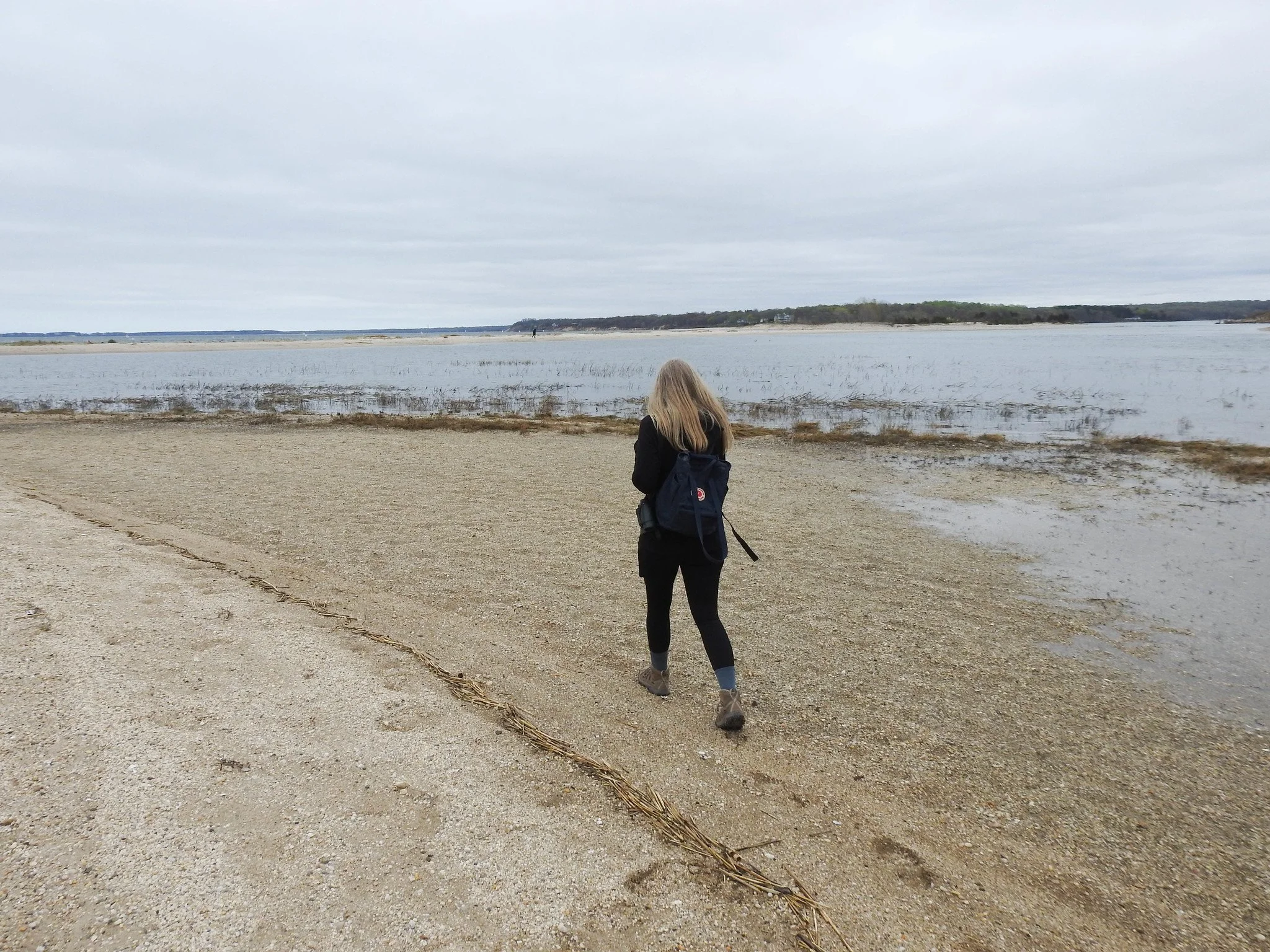 Sunken Meadow State Park, Long Island, NY