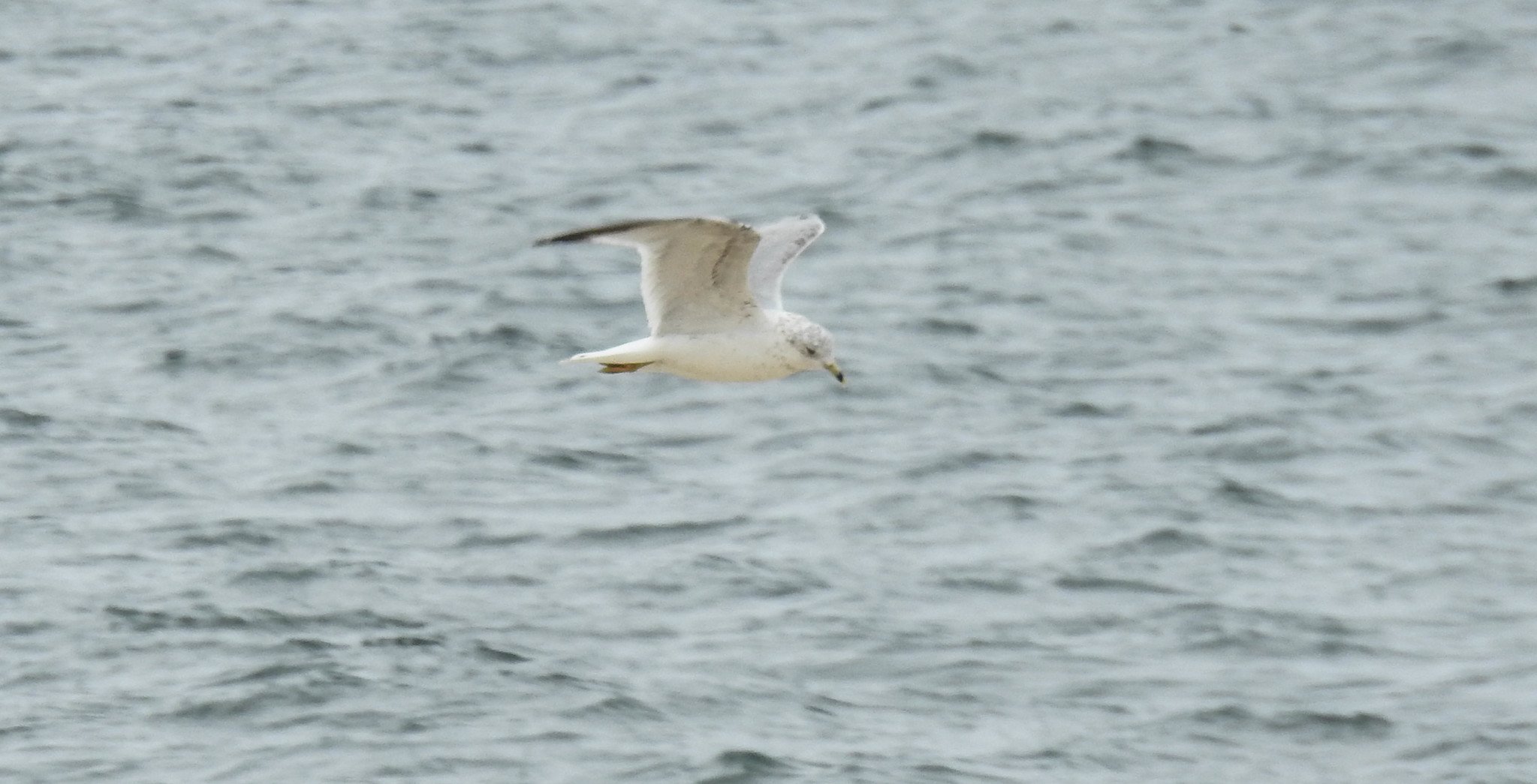 Sunken Meadow State Park, Long Island, NY