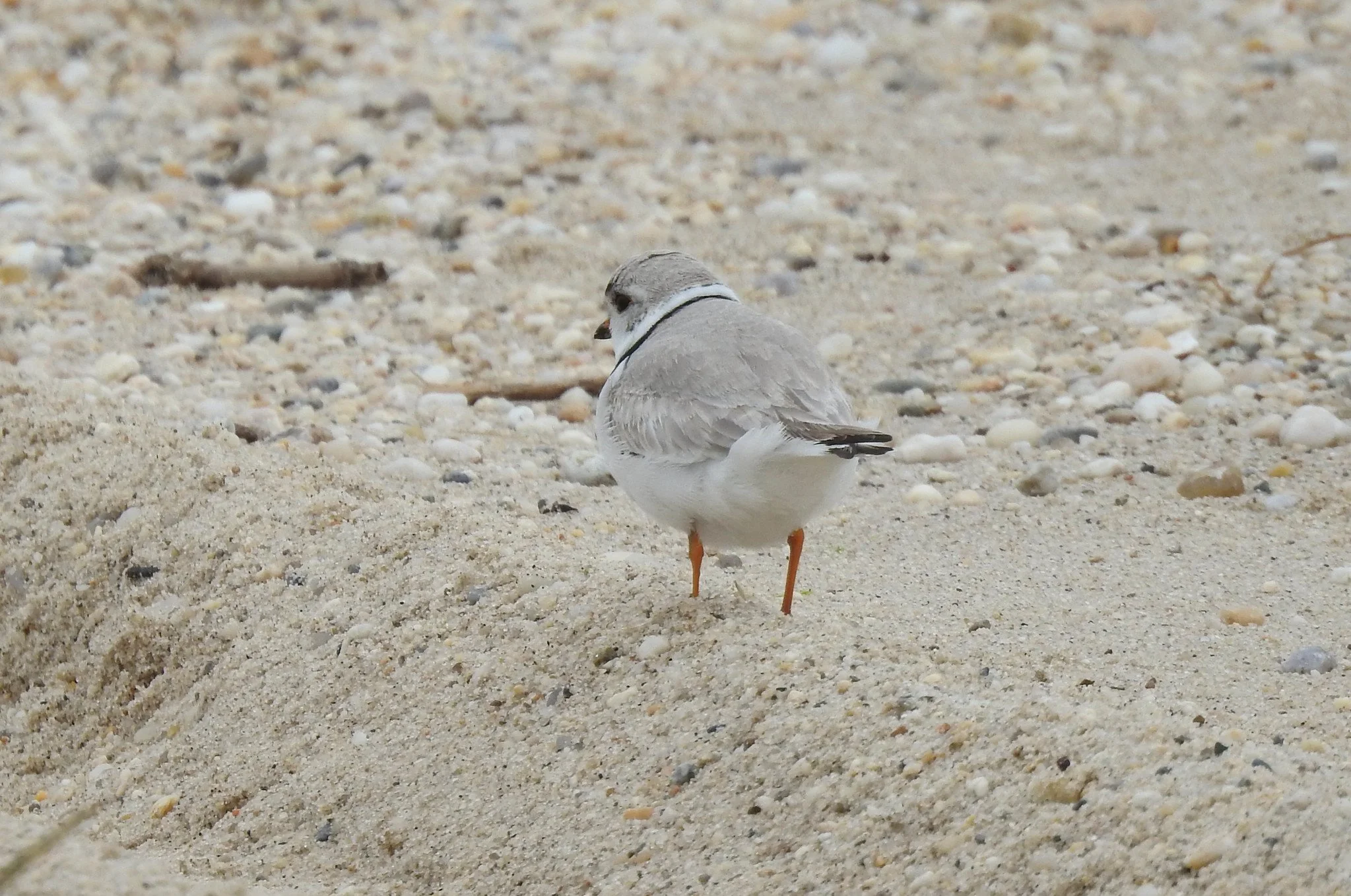 Sunken Meadow State Park, Long Island, NY