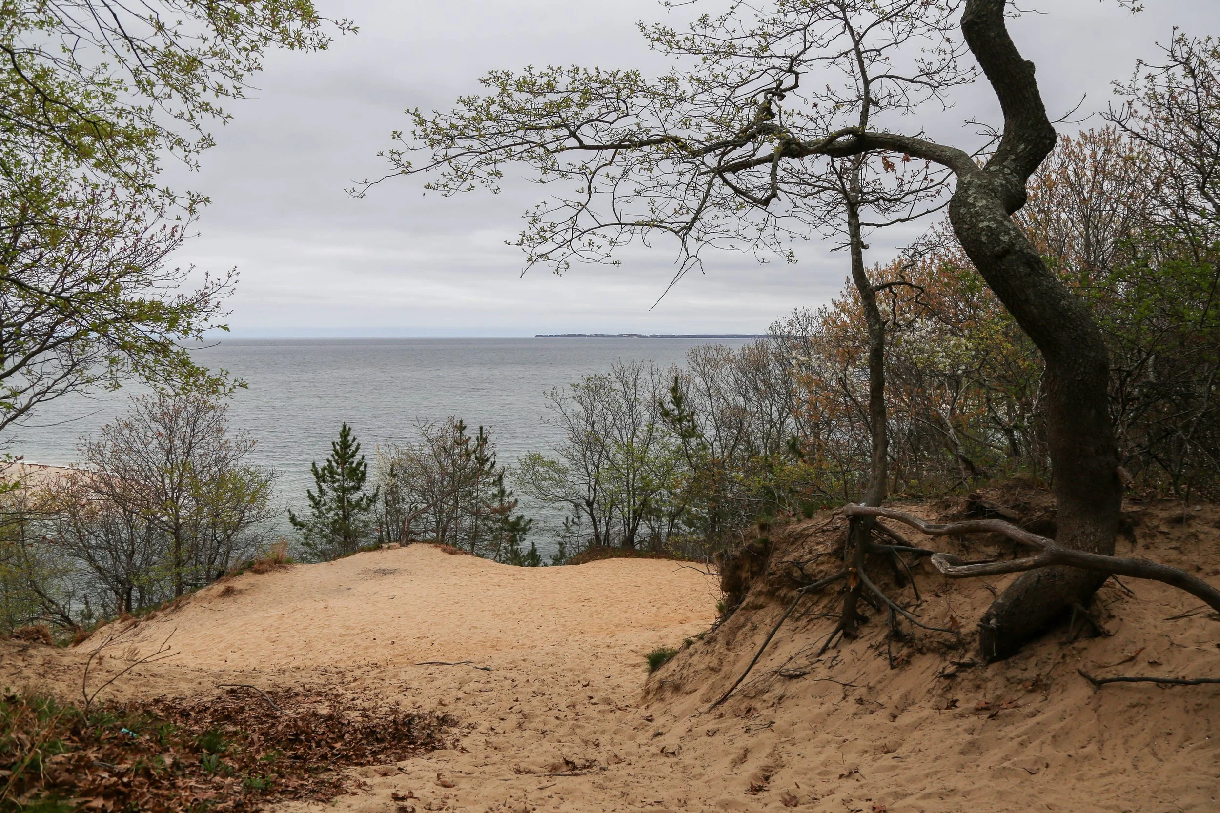 Sunken Meadow State Park, Long Island Sound, New York, April 18, 2026