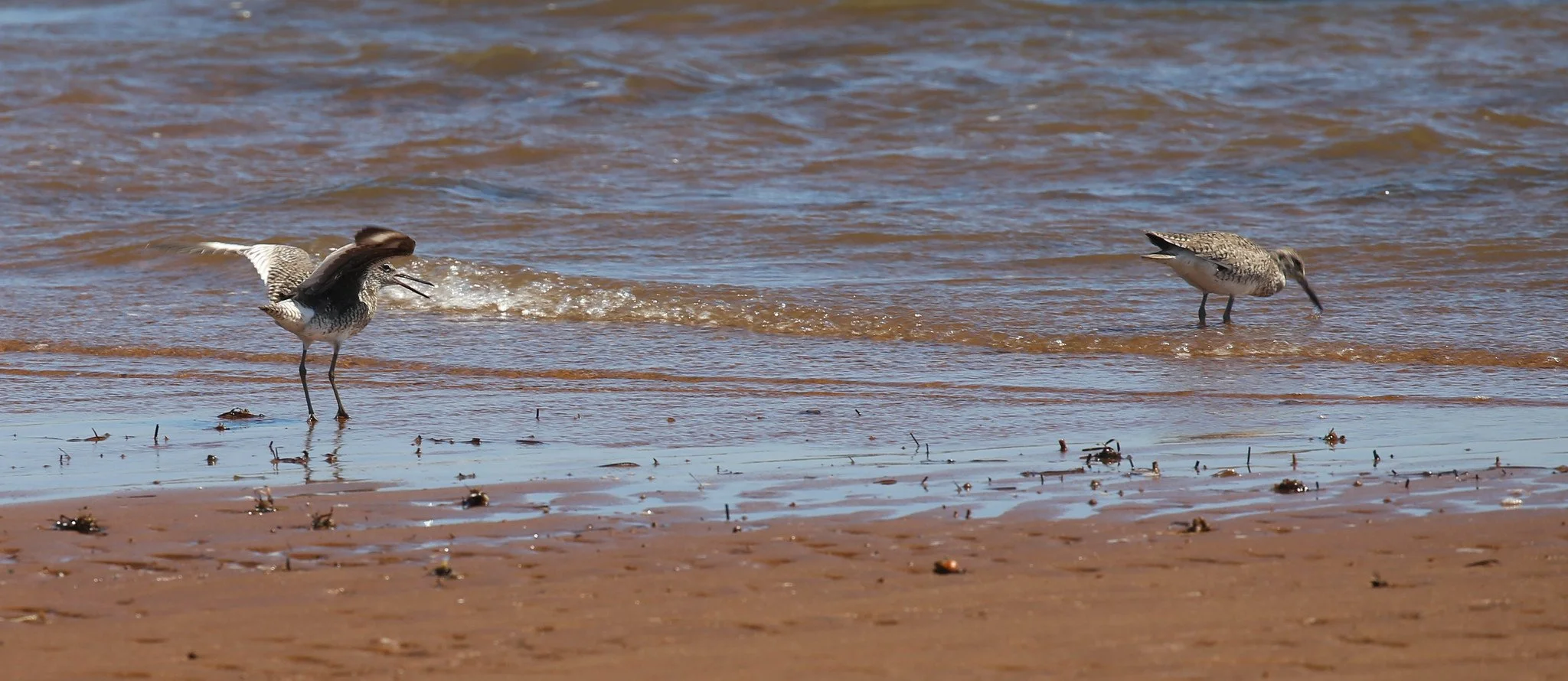 Montauk, NY, Hither Hills State Park