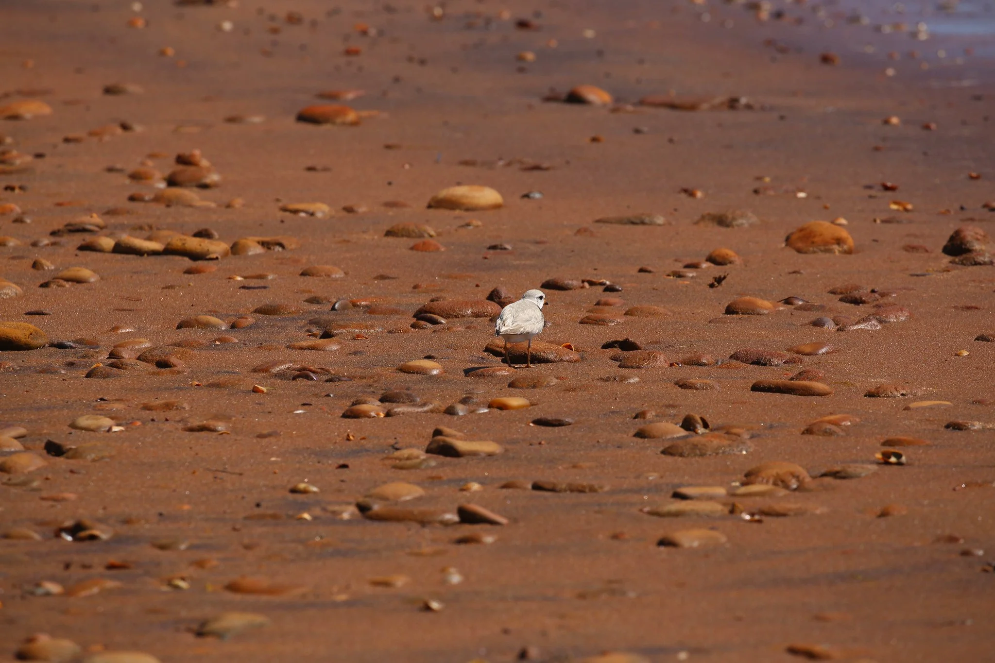 Montauk, NY, Hither Hills State Park
