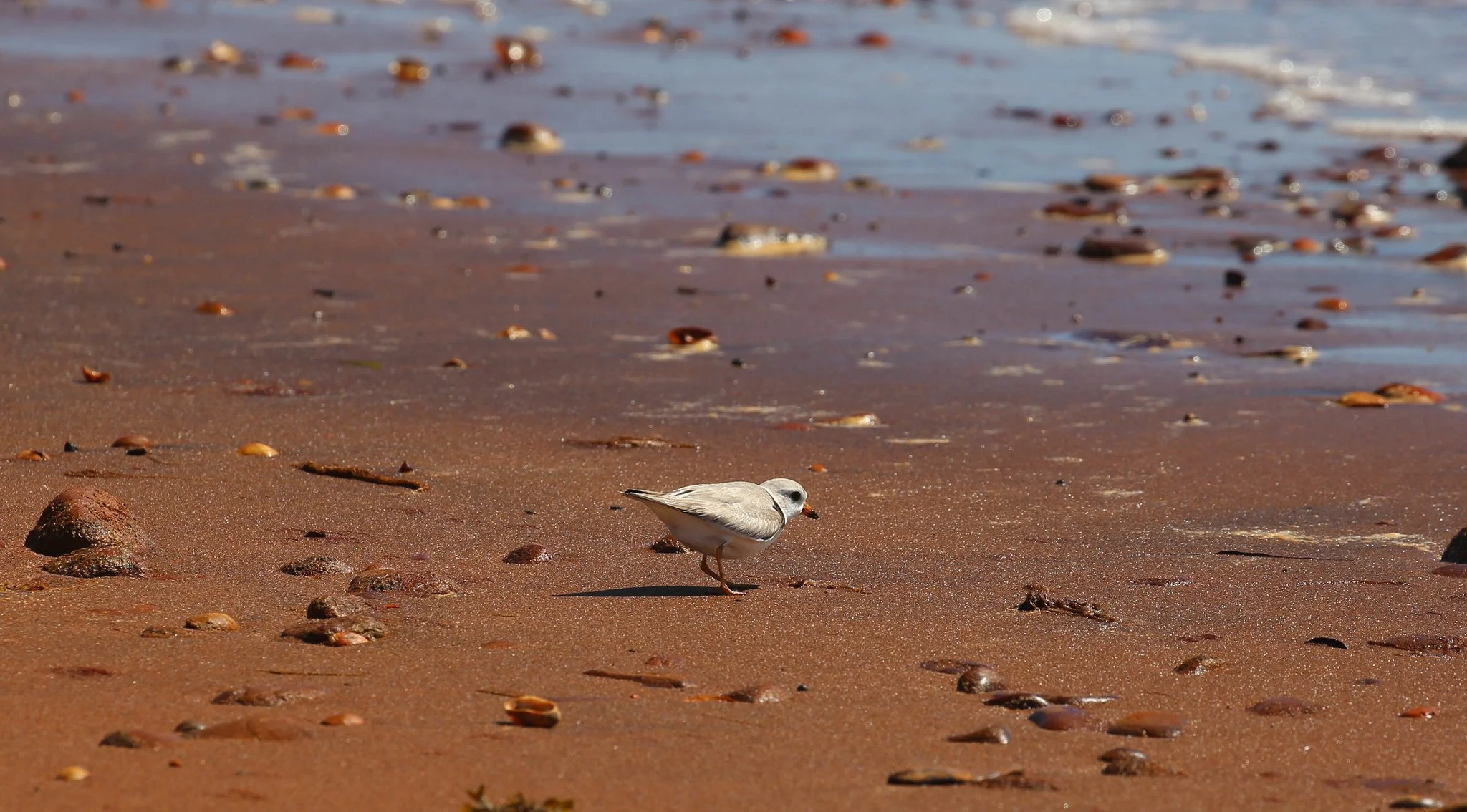 Montauk, NY, Hither Hills State Park