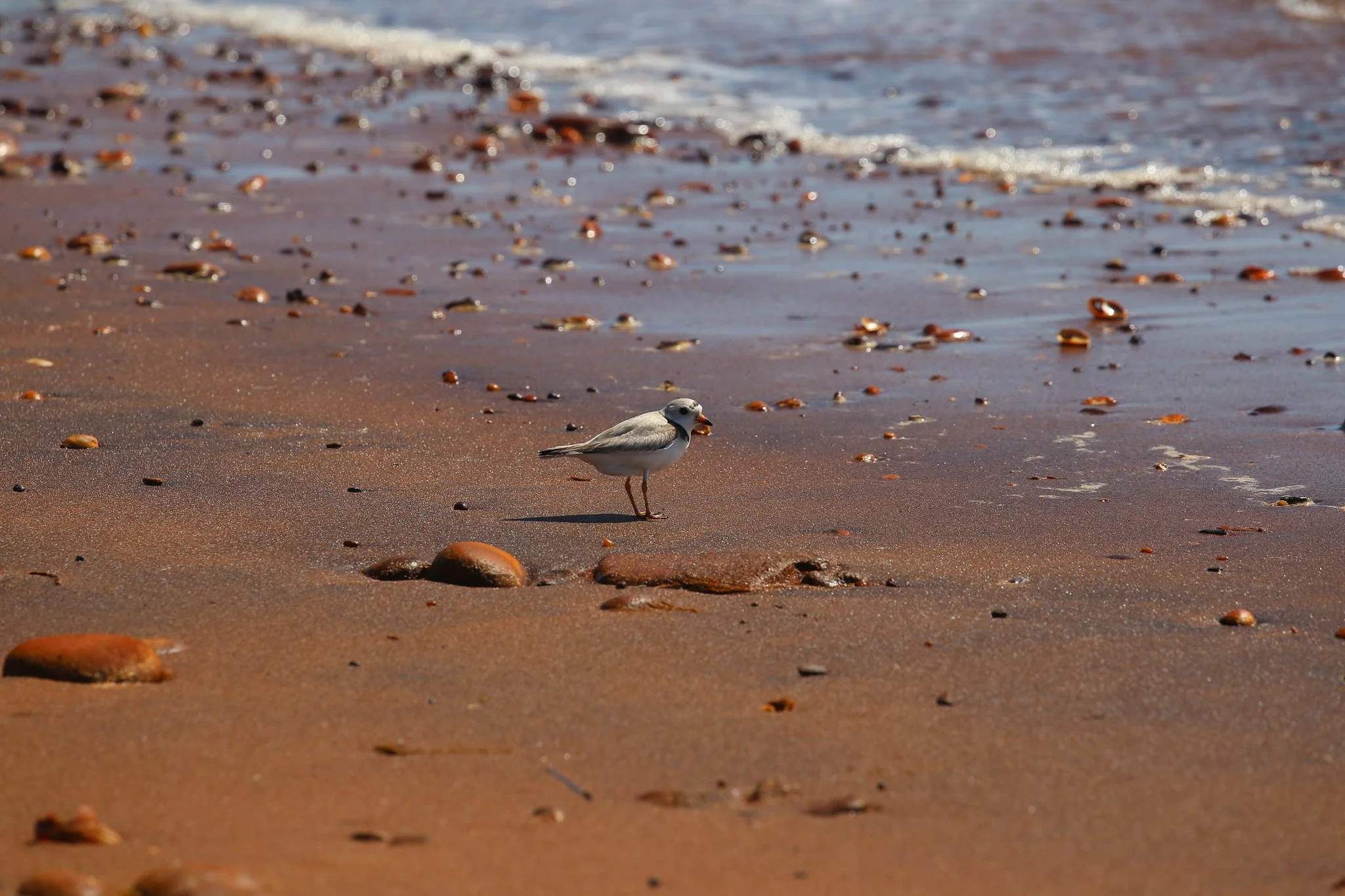 Montauk, NY, Hither Hills State Park