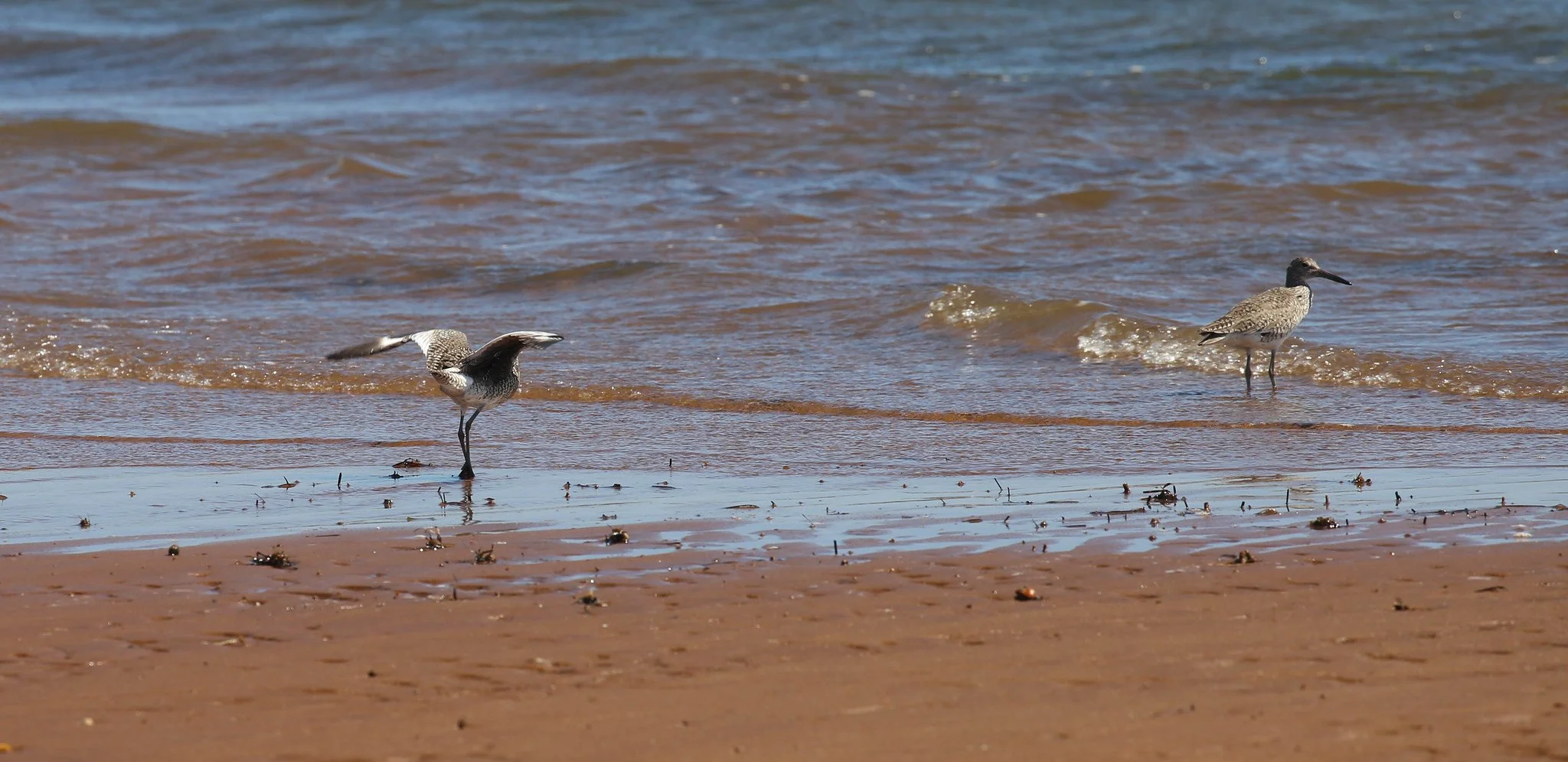 Montauk, NY, Hither Hills State Park
