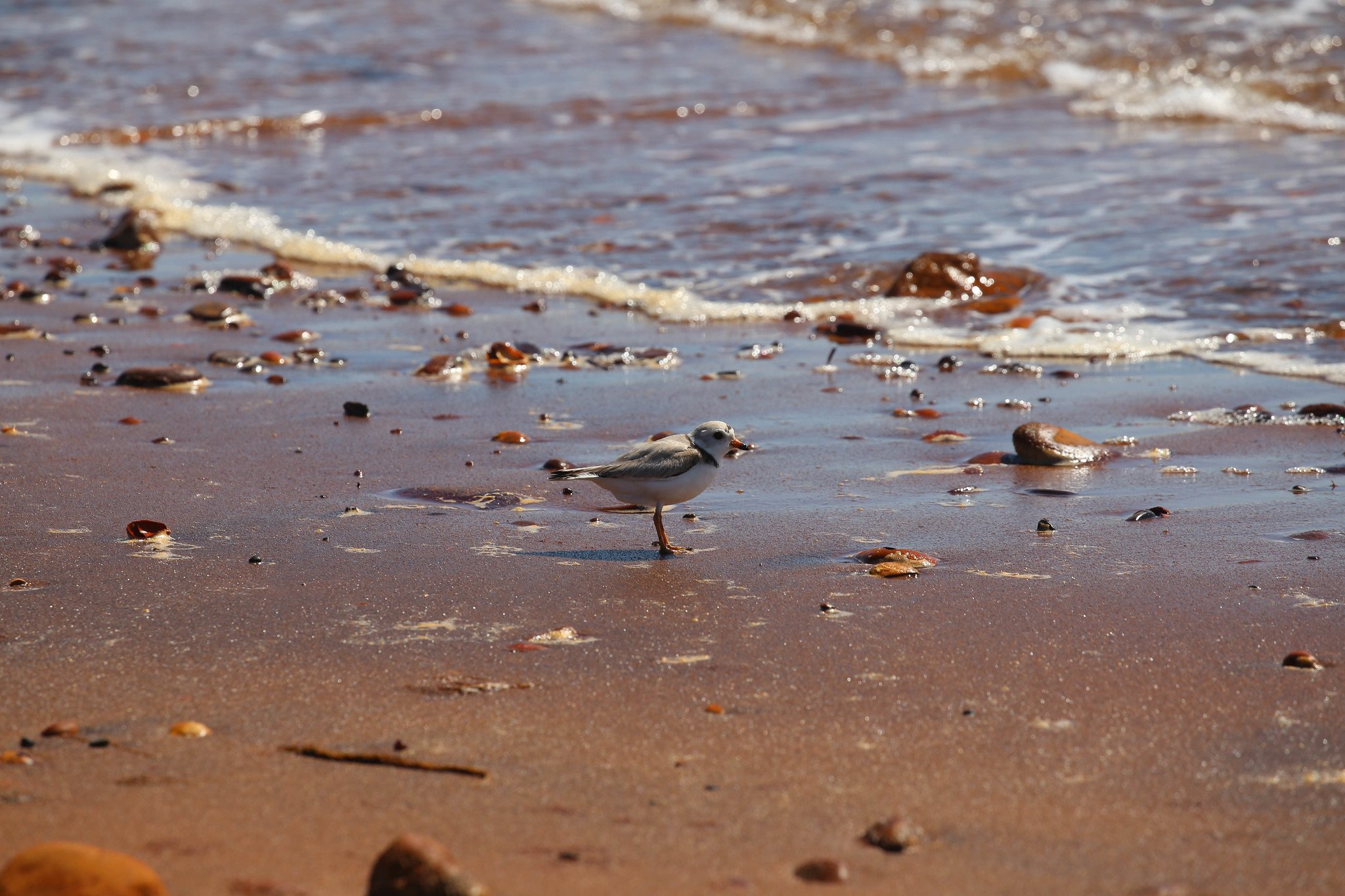 Montauk, NY, Hither Hills State Park